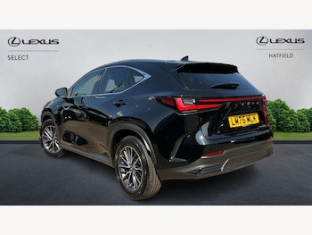 Used Lexus NX 2025 for sale - 79248533: Photo