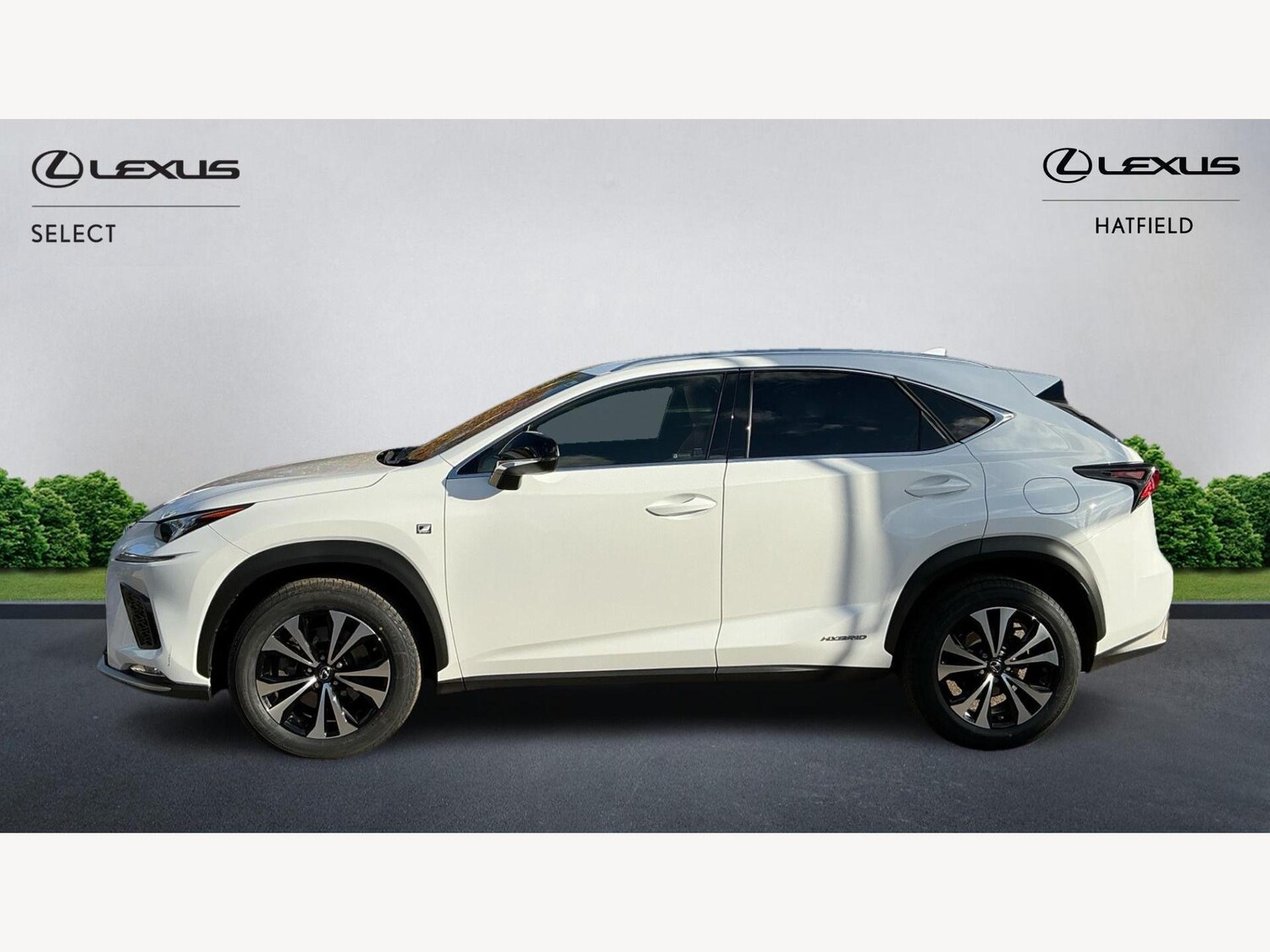 Used Lexus NX 2021 for sale - 76377611: Photo 3