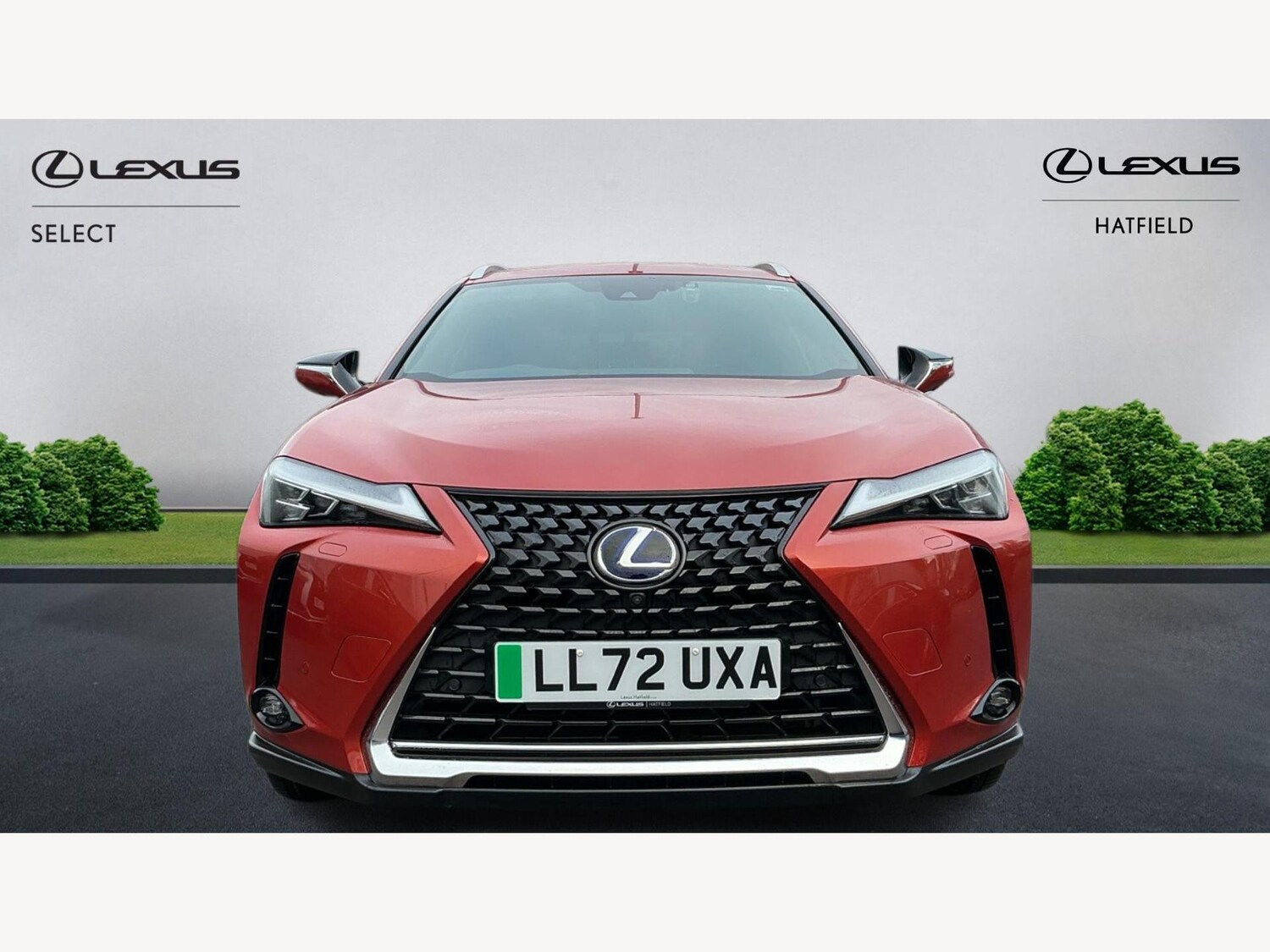 Used Lexus UX 2023 for sale - 77029248: Photo 6