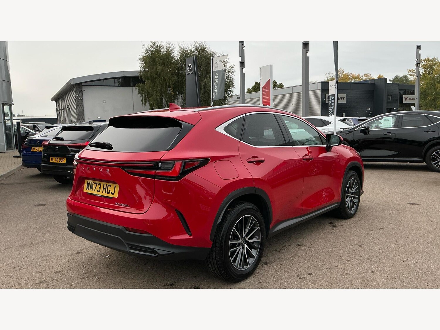Used Lexus NX for sale - 77807608: Photo 20