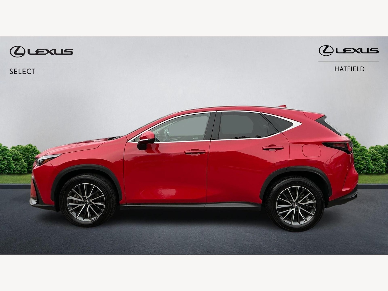 Used Lexus NX for sale - 77807608: Photo 3