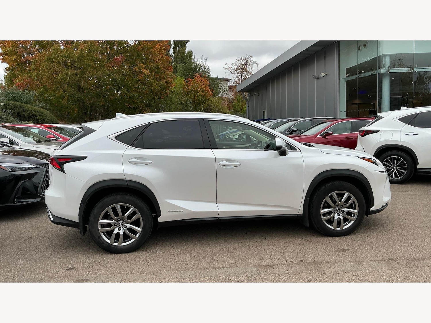 Used Lexus NX 2019 for sale - 76607779: Photo 18