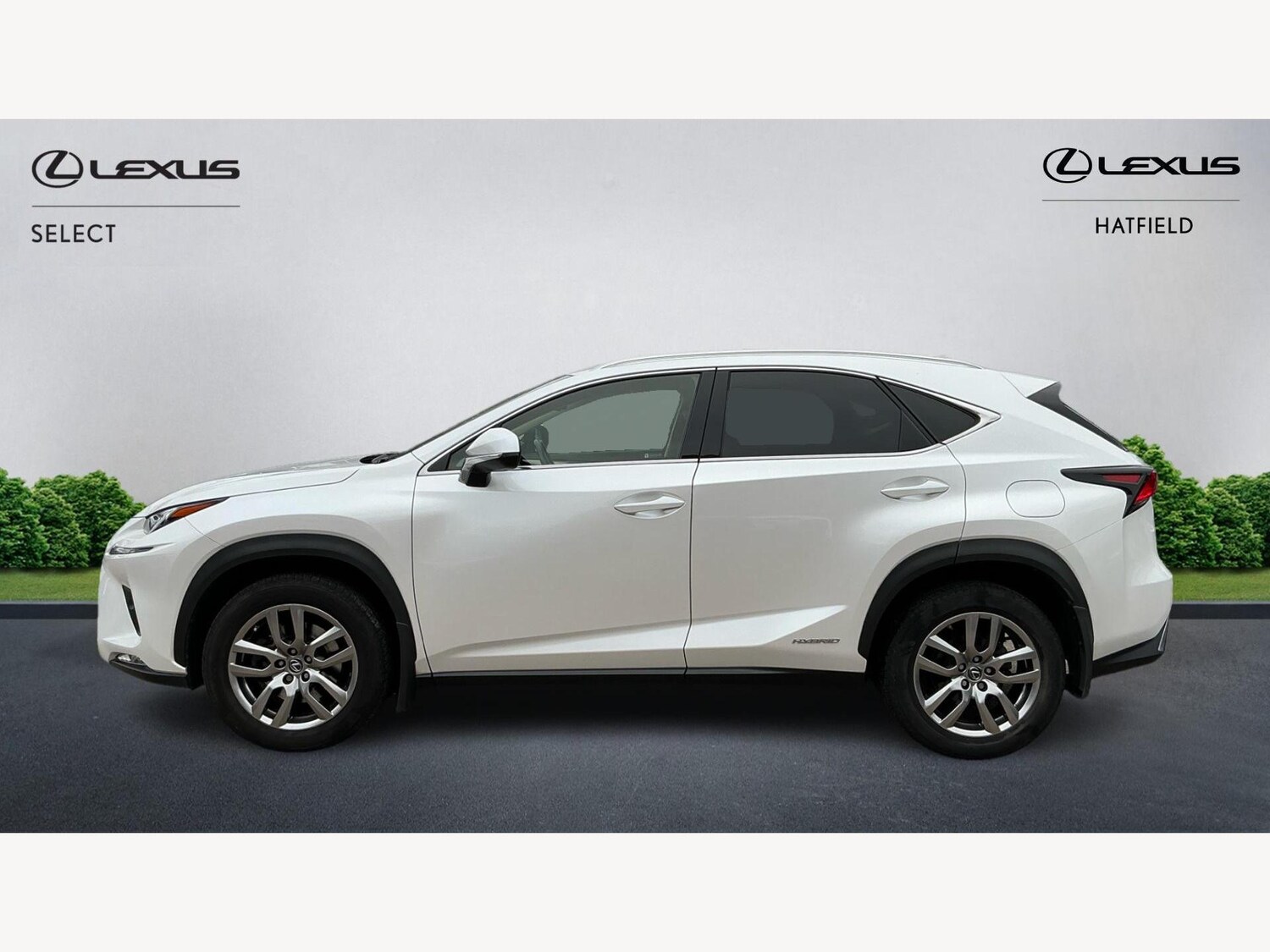 Used Lexus NX 2019 for sale - 76607779: Photo 3