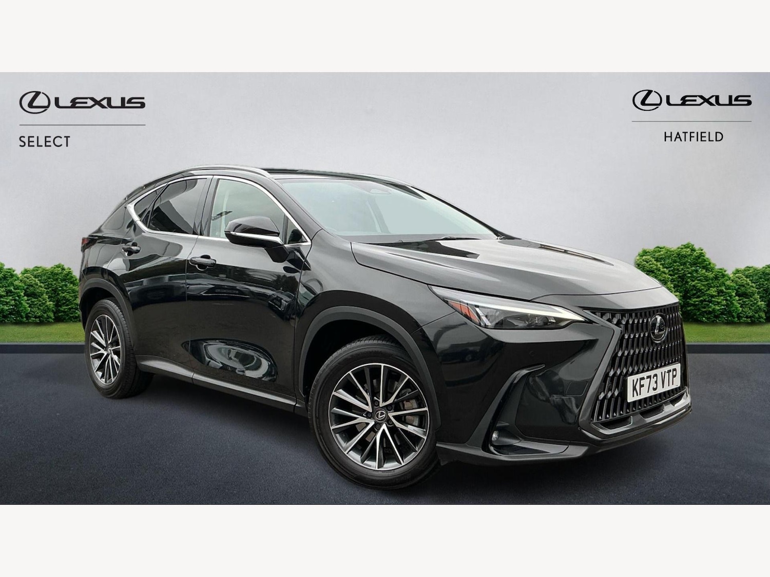 Used Lexus NX 2023 for sale - 76238789: Photo 1
