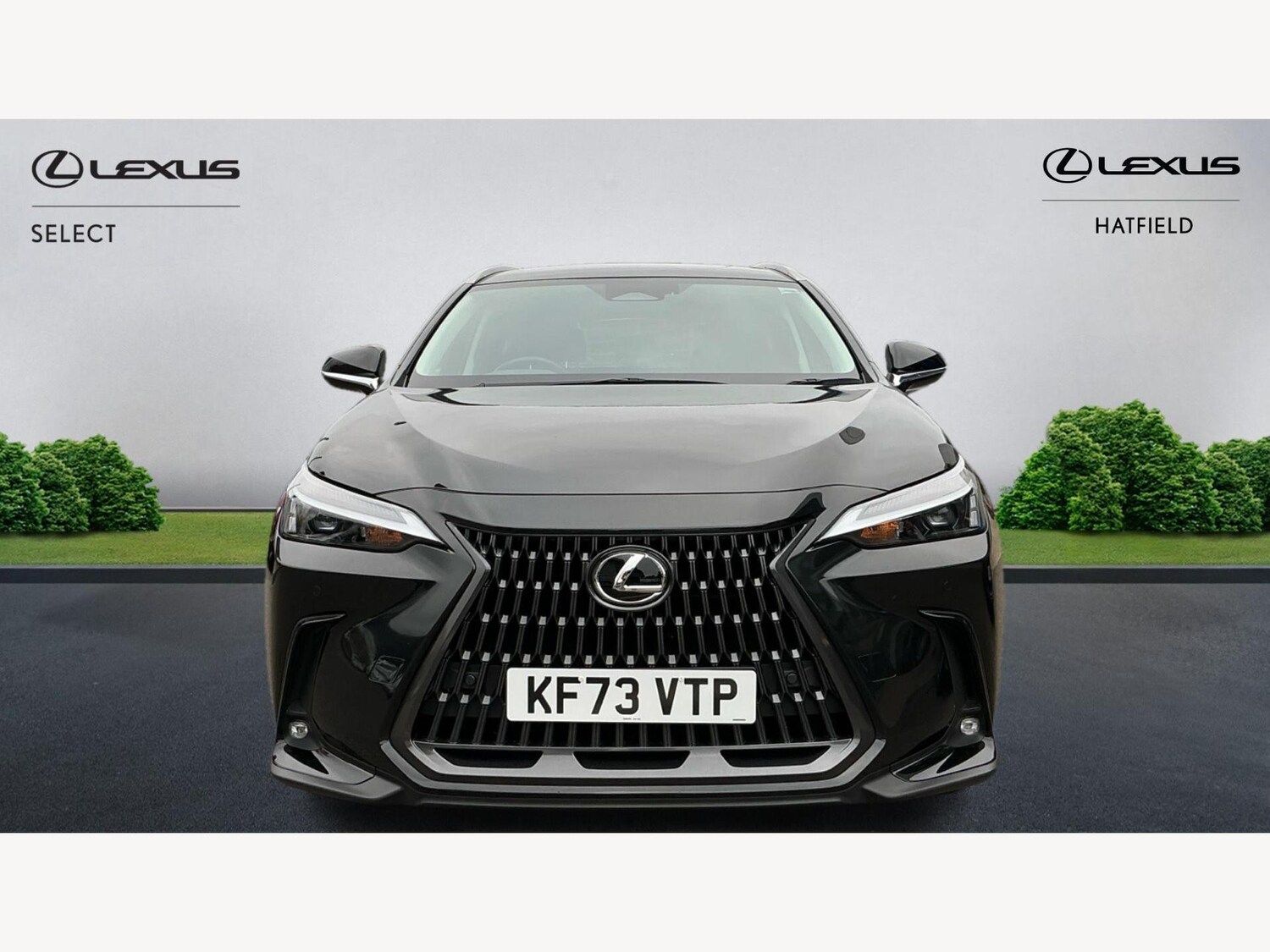 Used Lexus NX 2023 for sale - 76238789: Photo 6