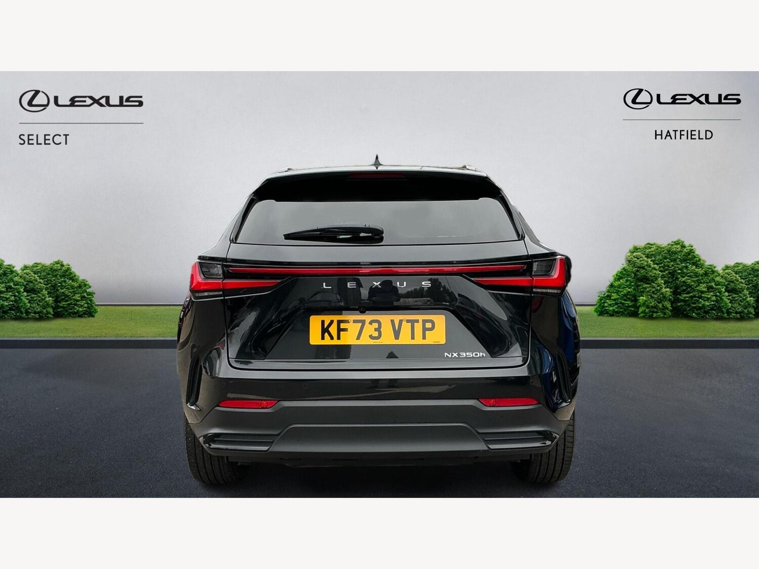 Used Lexus NX 2023 for sale - 76238789: Photo 7