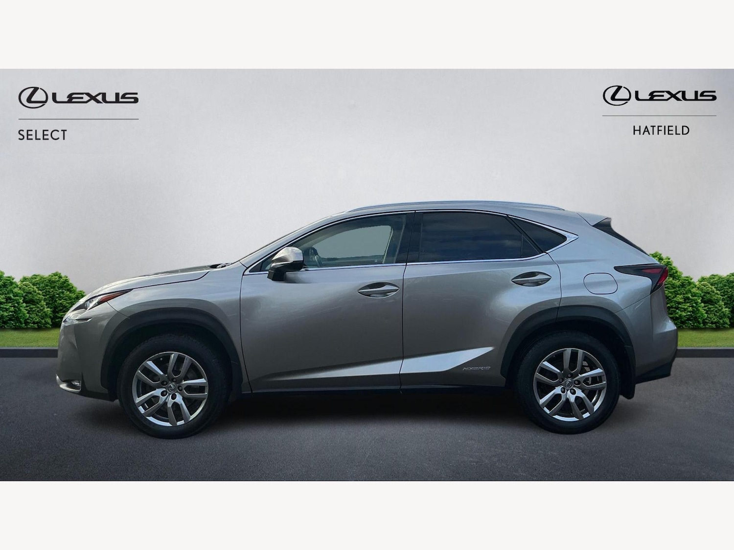 Used Lexus NX 2017 for sale - 77376022: Photo 3