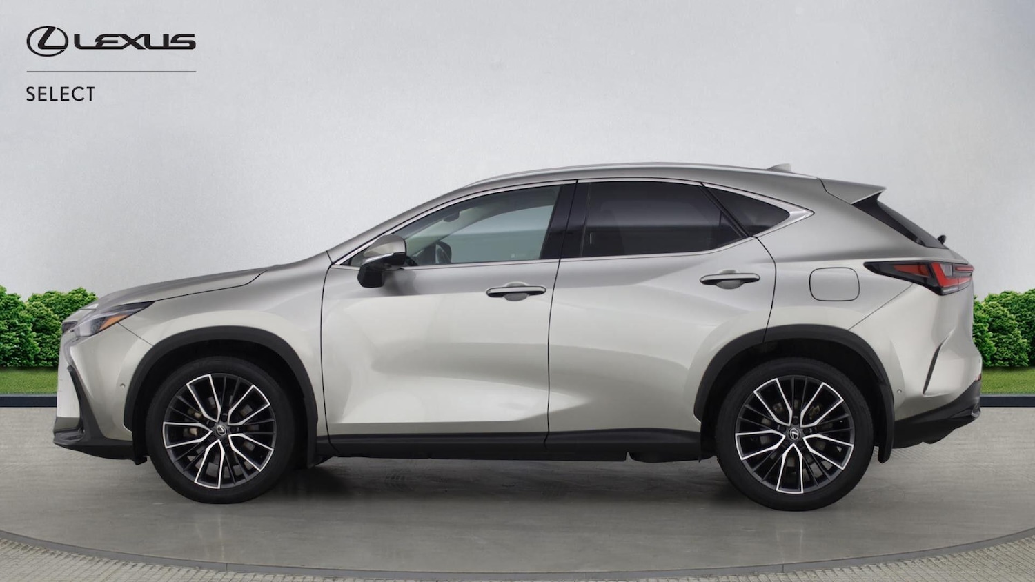 Used Lexus NX 2024 for sale - 77657819: Photo 6