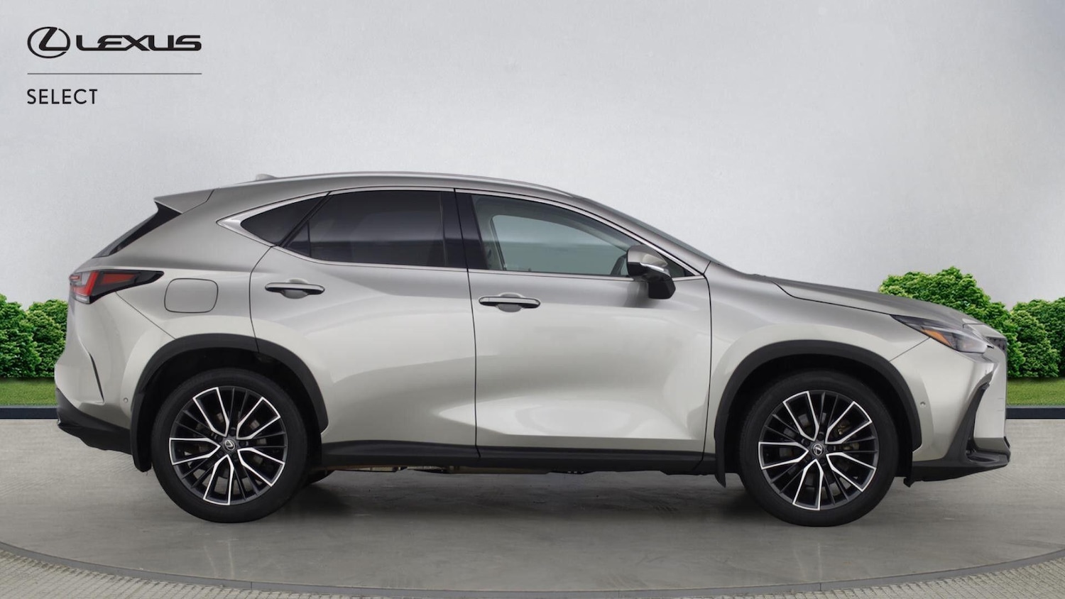 Used Lexus NX 2024 for sale - 77657819: Photo 8