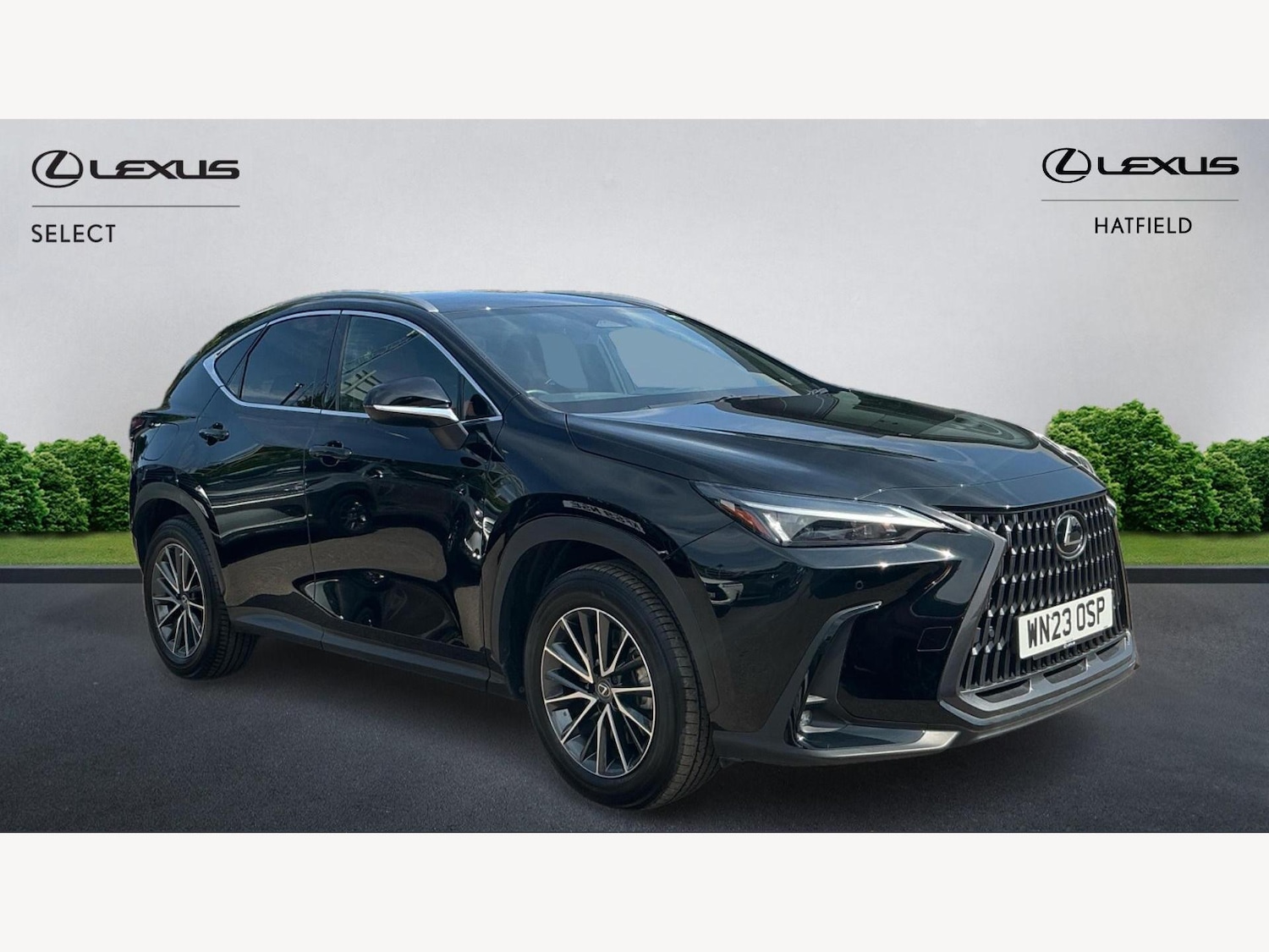 Used Lexus NX 2023 for sale - 76801035: Photo 1