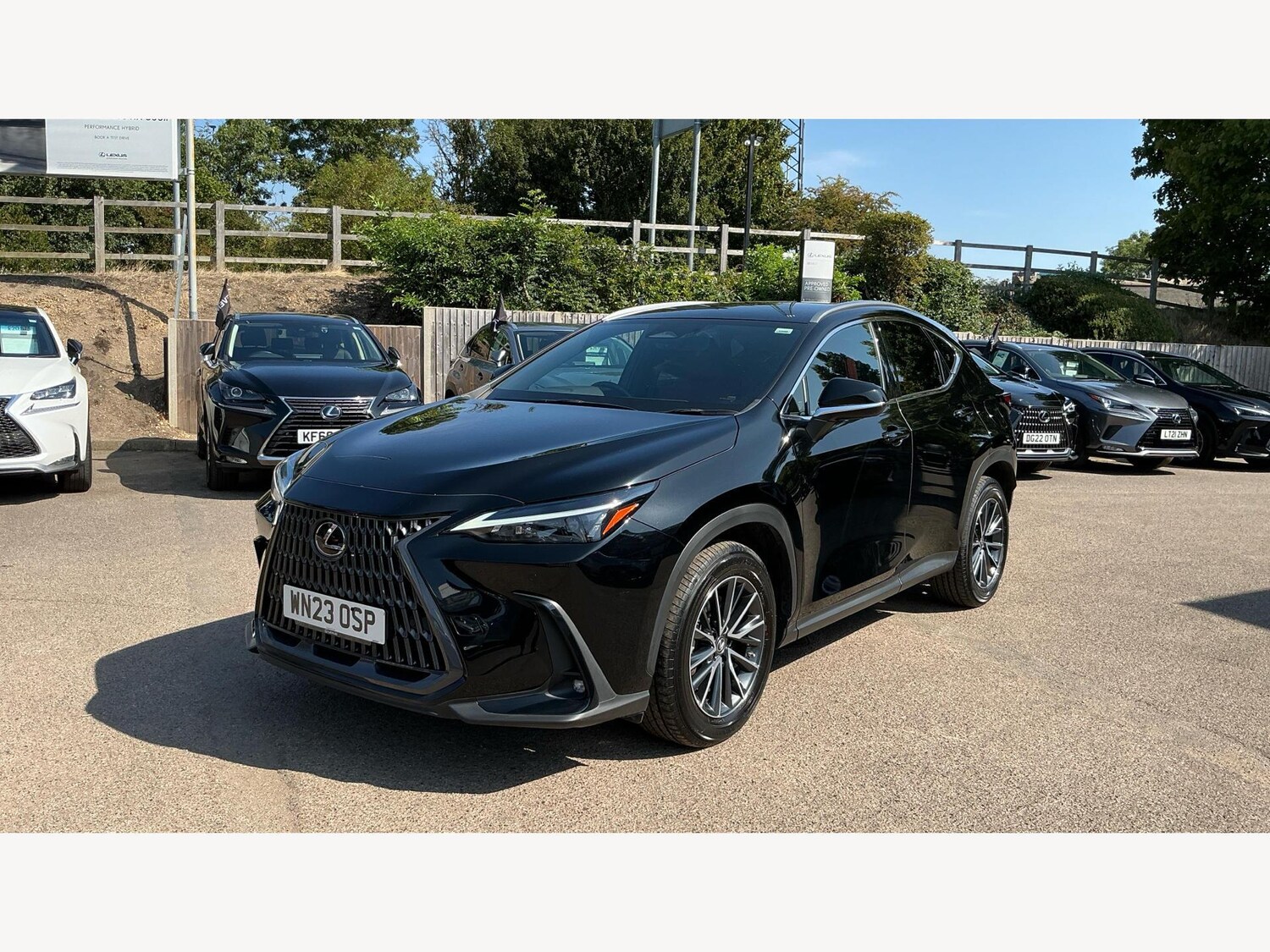 Used Lexus NX 2023 for sale - 76801035: Photo 19
