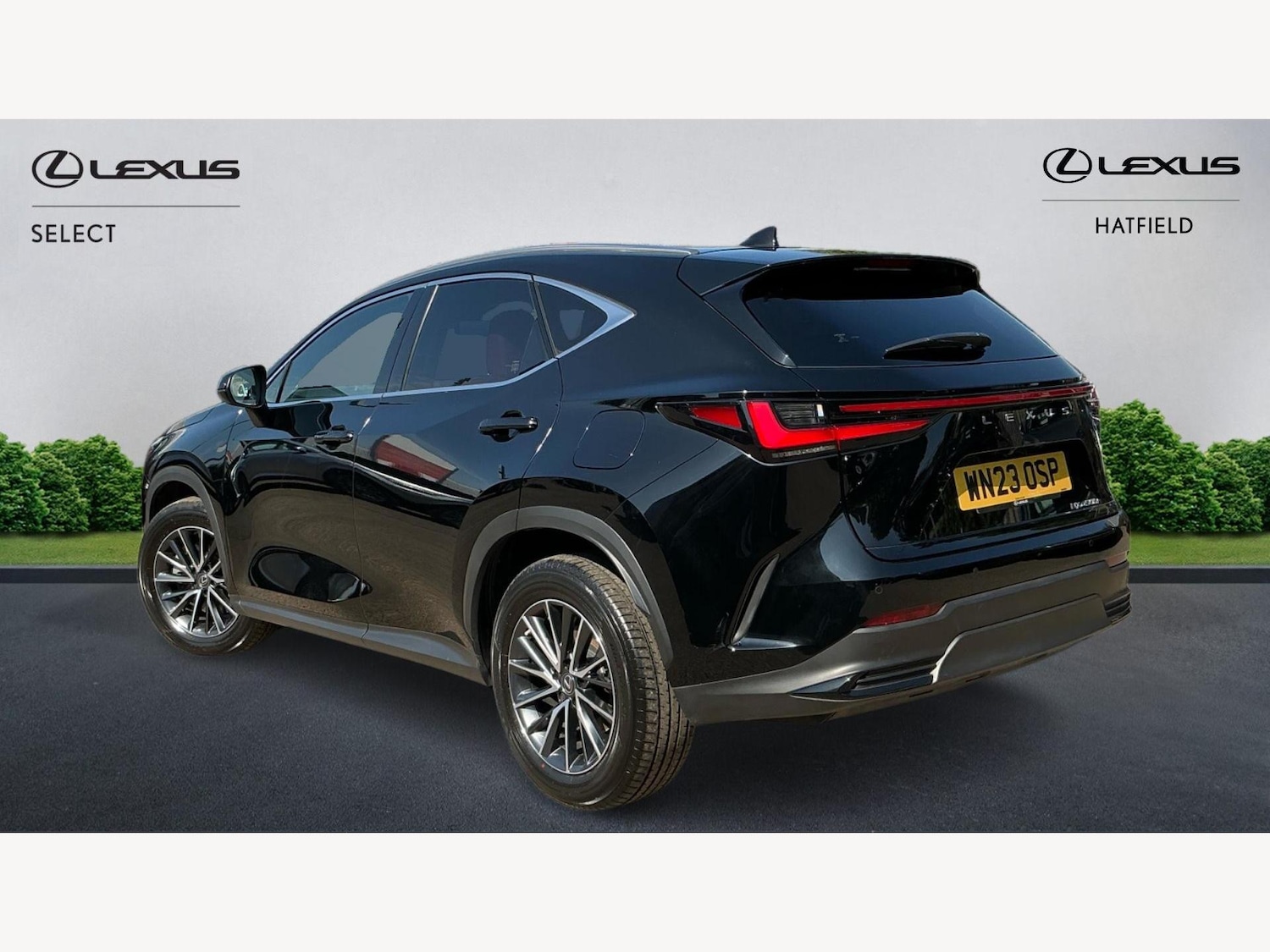 Used Lexus NX 2023 for sale - 76801035: Photo 2