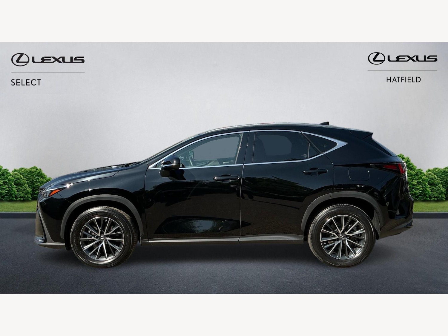 Used Lexus NX 2023 for sale - 76801035: Photo 3