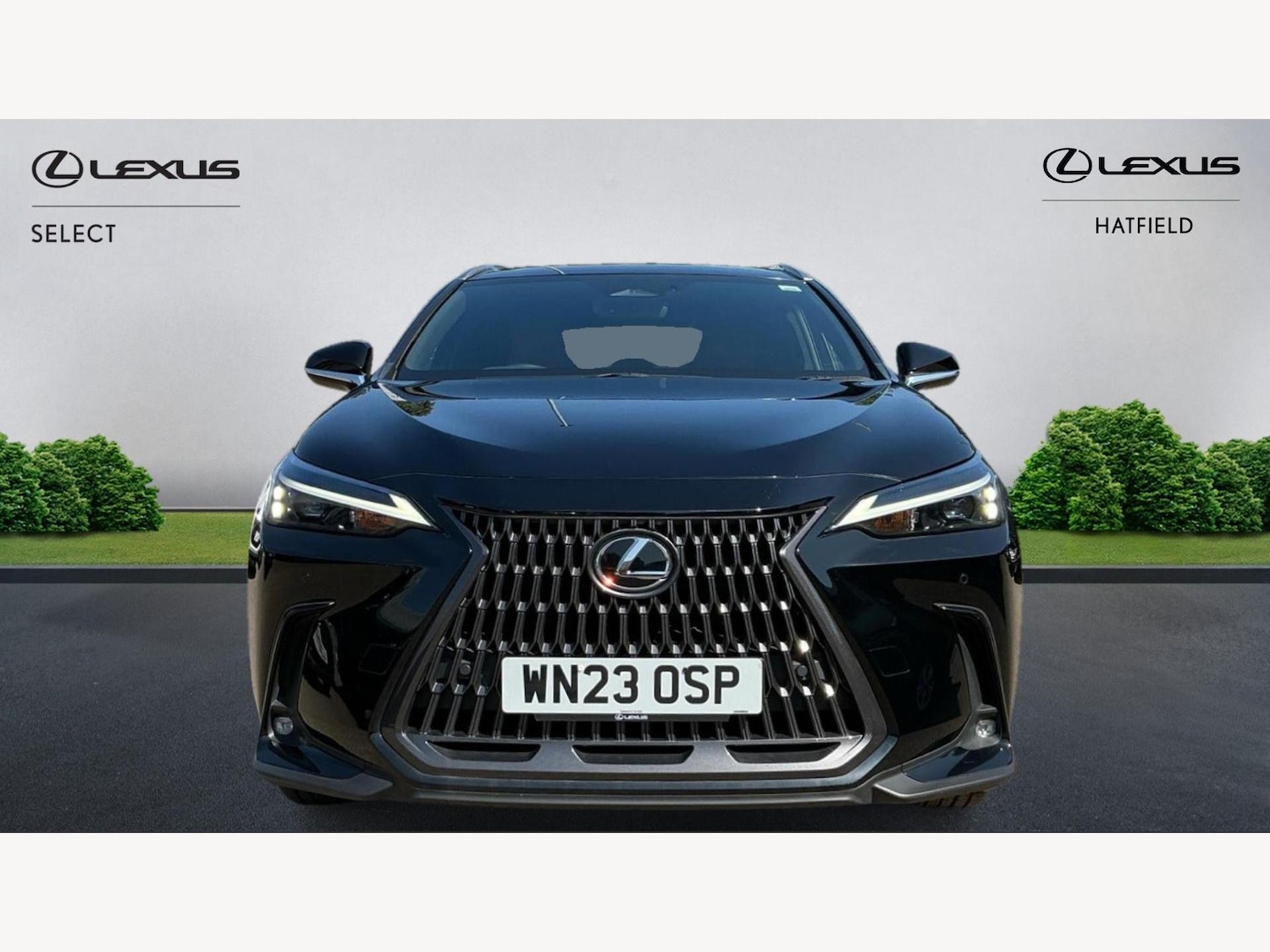 Used Lexus NX 2023 for sale - 76801035: Photo 6