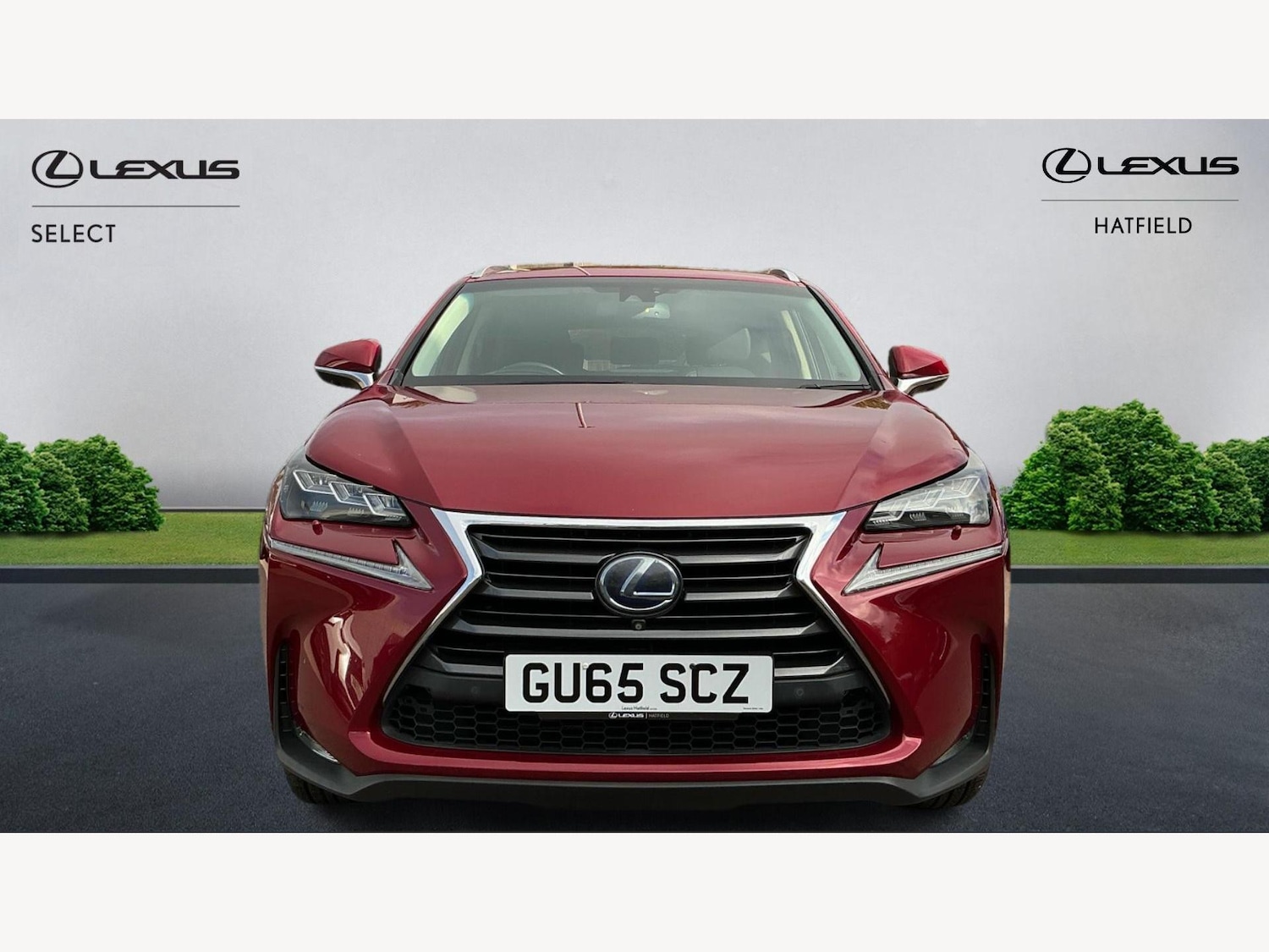 Used Lexus NX 2015 for sale - 75707584: Photo 6