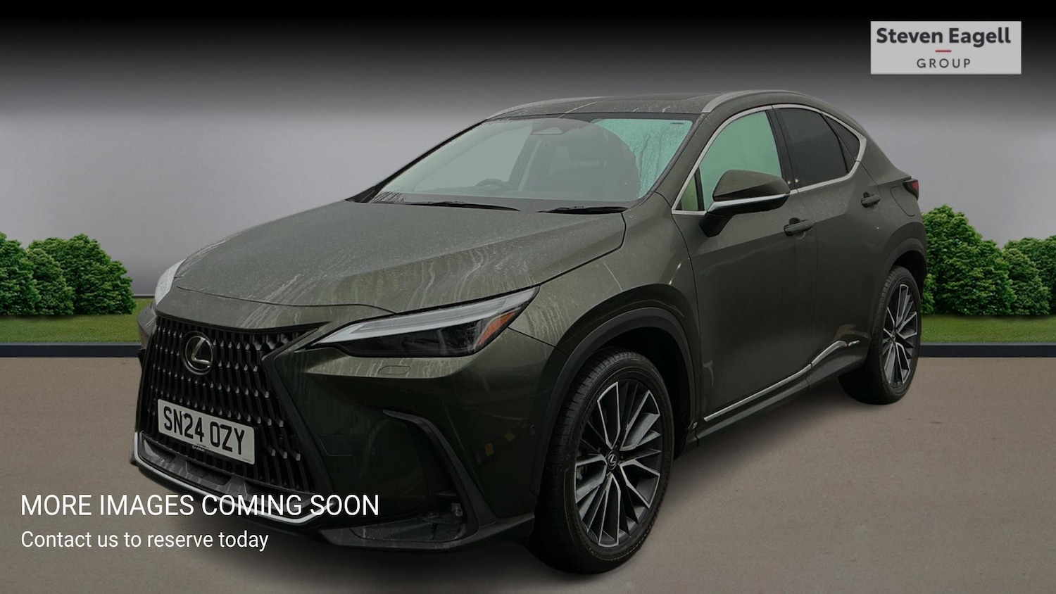 Used Lexus NX 2024 for sale - 77377710: Photo 3