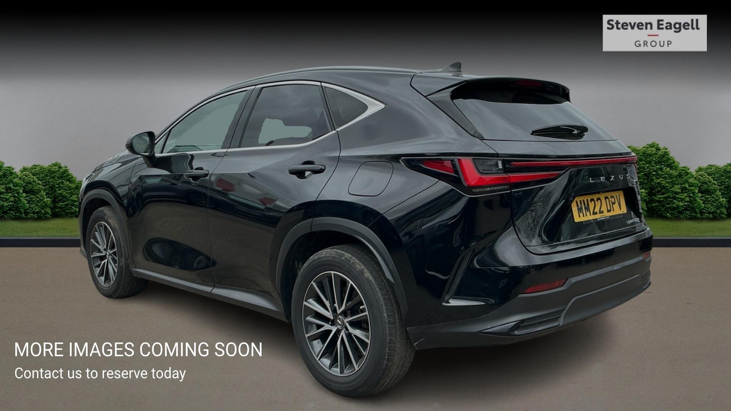 Used Lexus NX for sale - 77683948: Photo 2