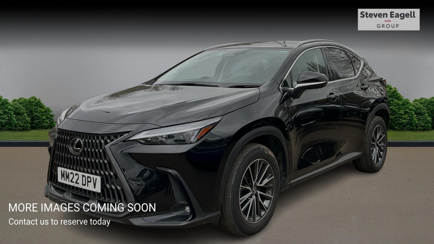 Used Lexus NX for sale - 77683948: Photo 3