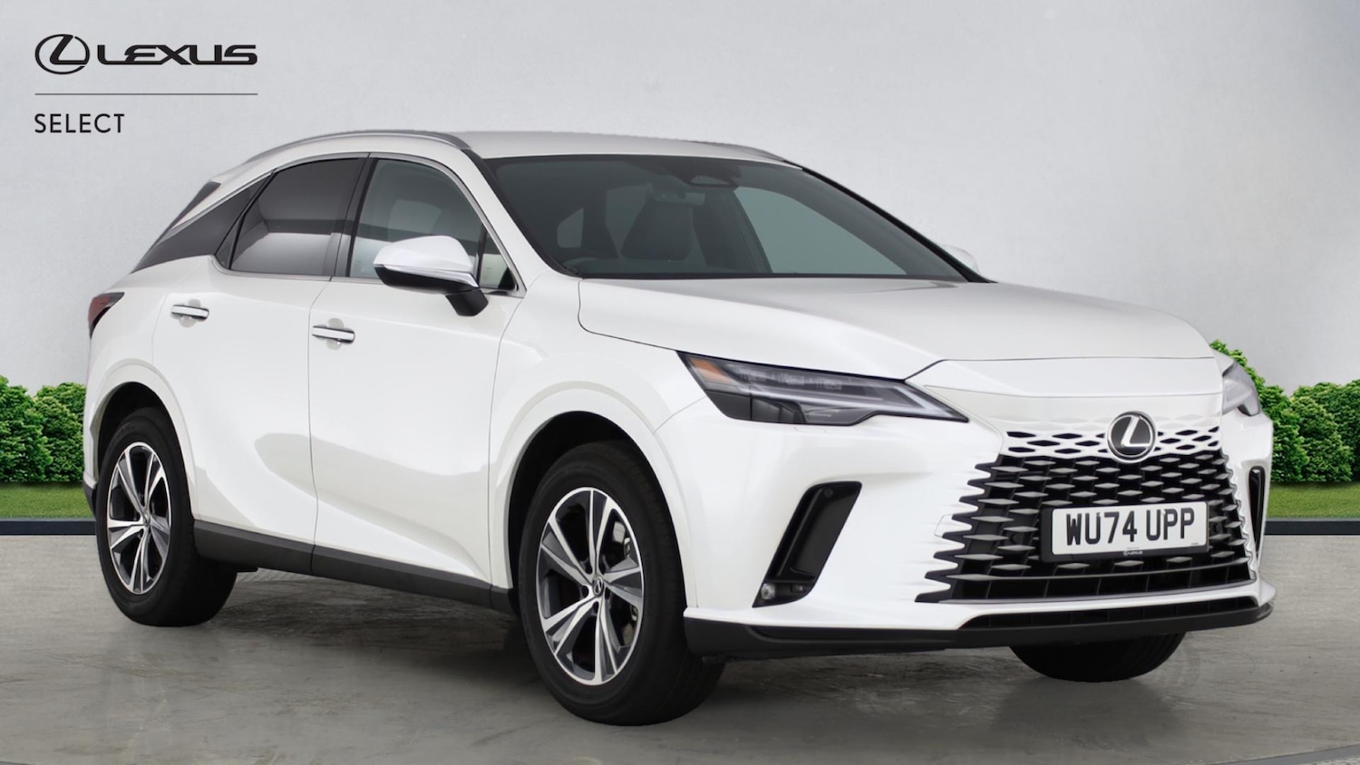 Used Lexus RX 2024 for sale - 77097454: Photo 1