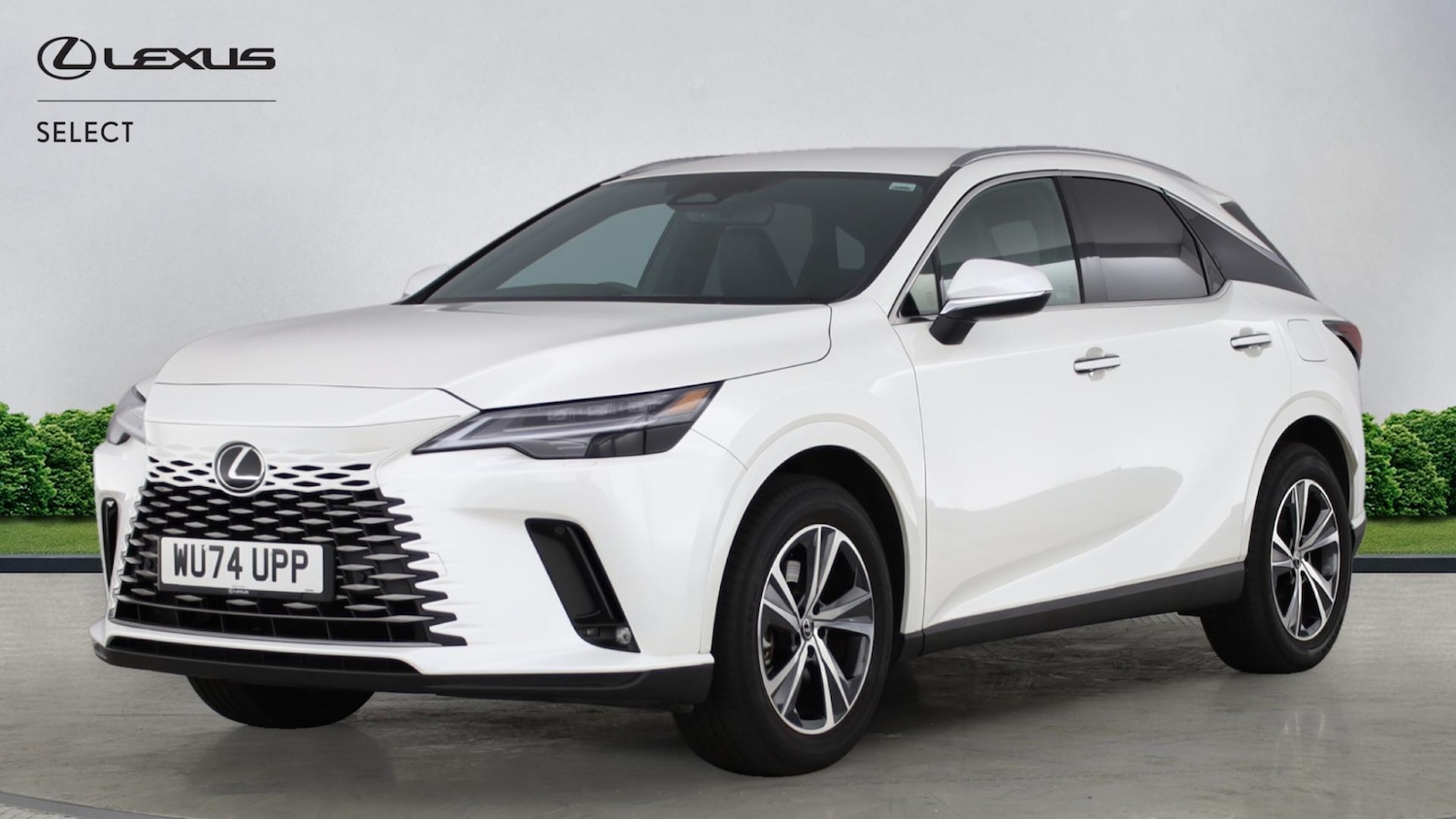 Used Lexus RX 2024 for sale - 77097454: Photo 17