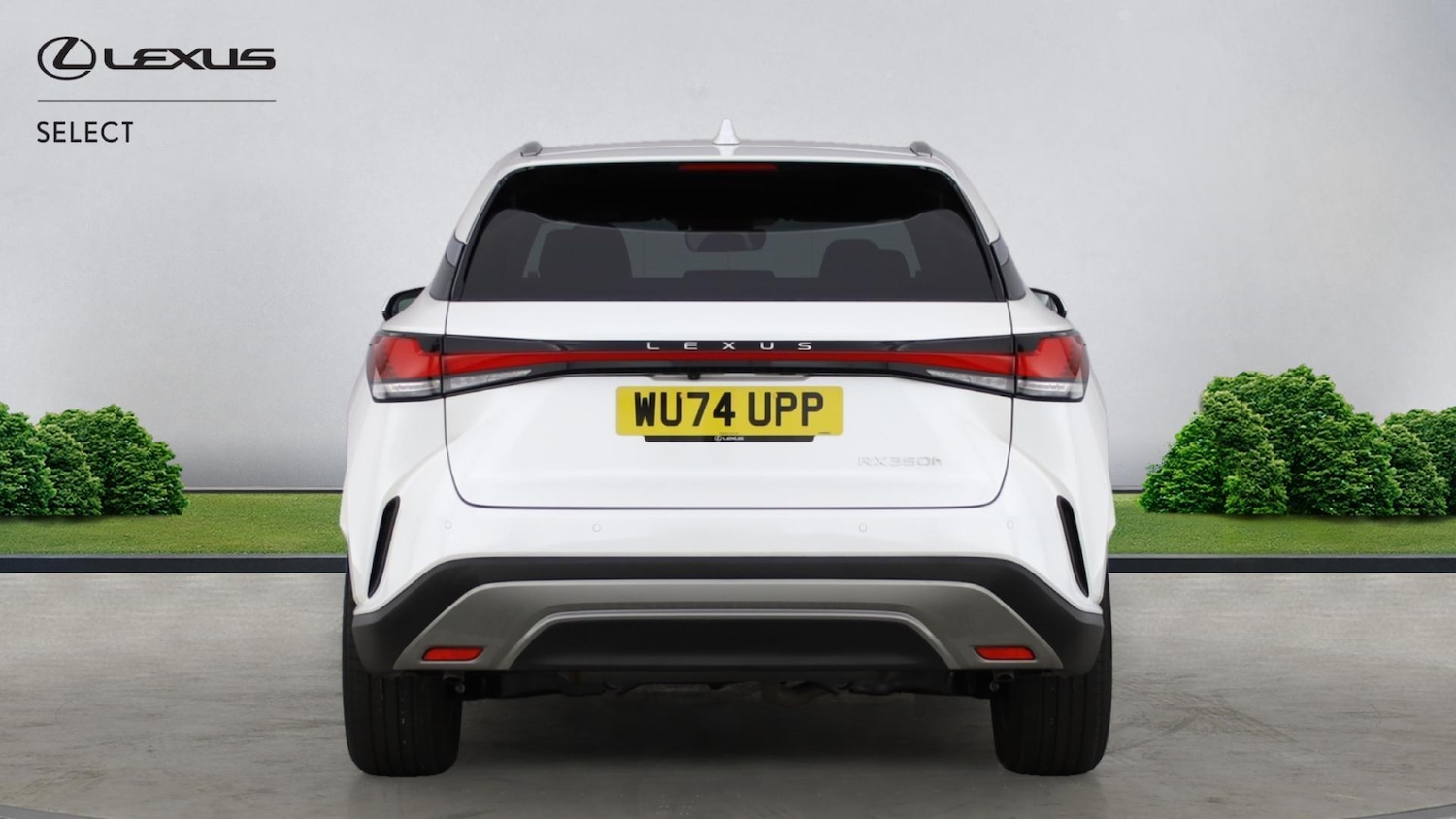 Used Lexus RX 2024 for sale - 77097454: Photo 5
