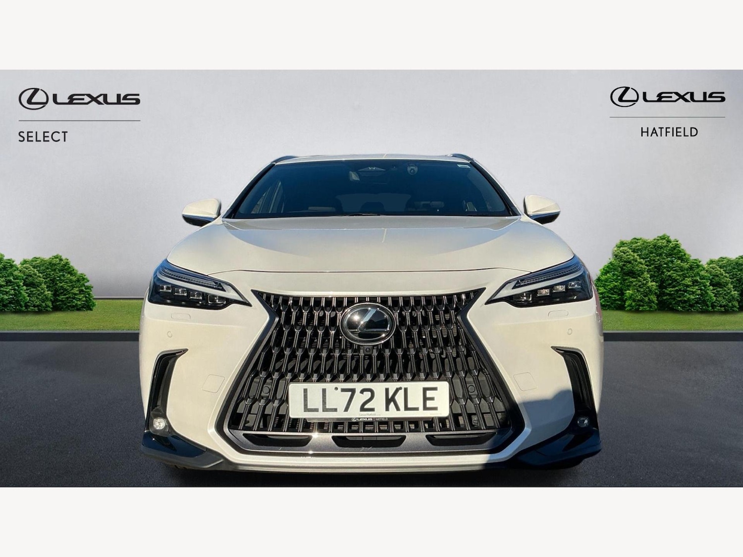 Used Lexus NX 2022 for sale - 77057547: Photo 6