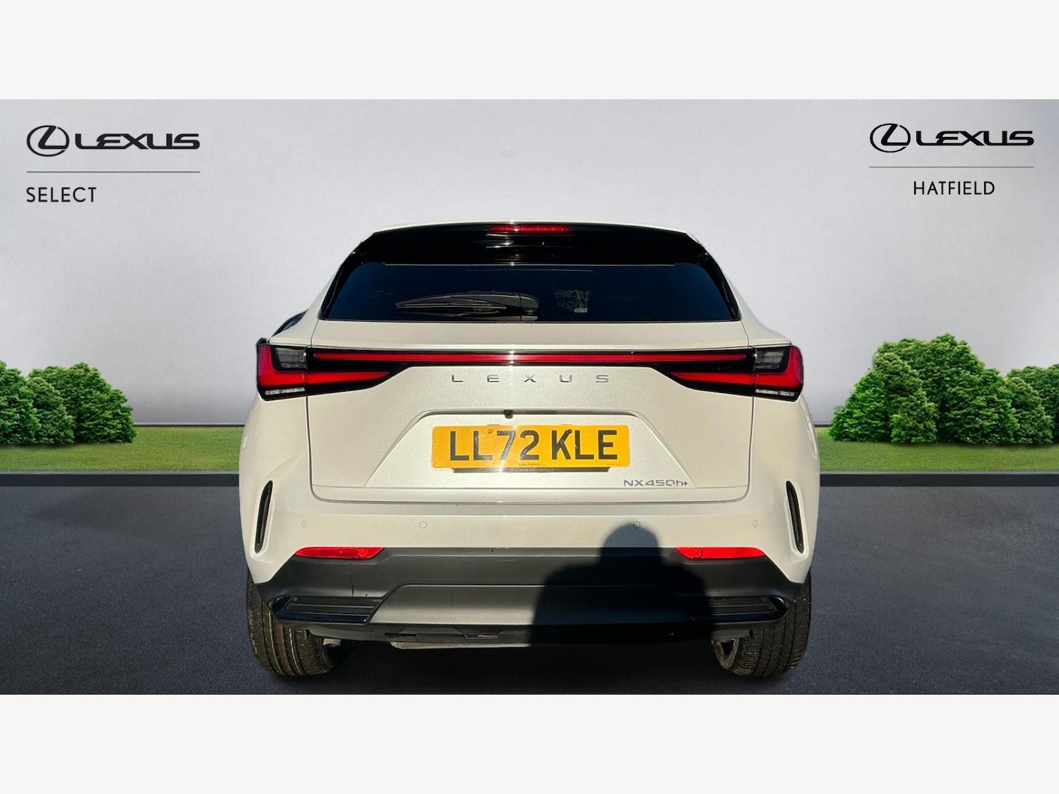 Used Lexus NX 2022 for sale - 77057547: Photo 7
