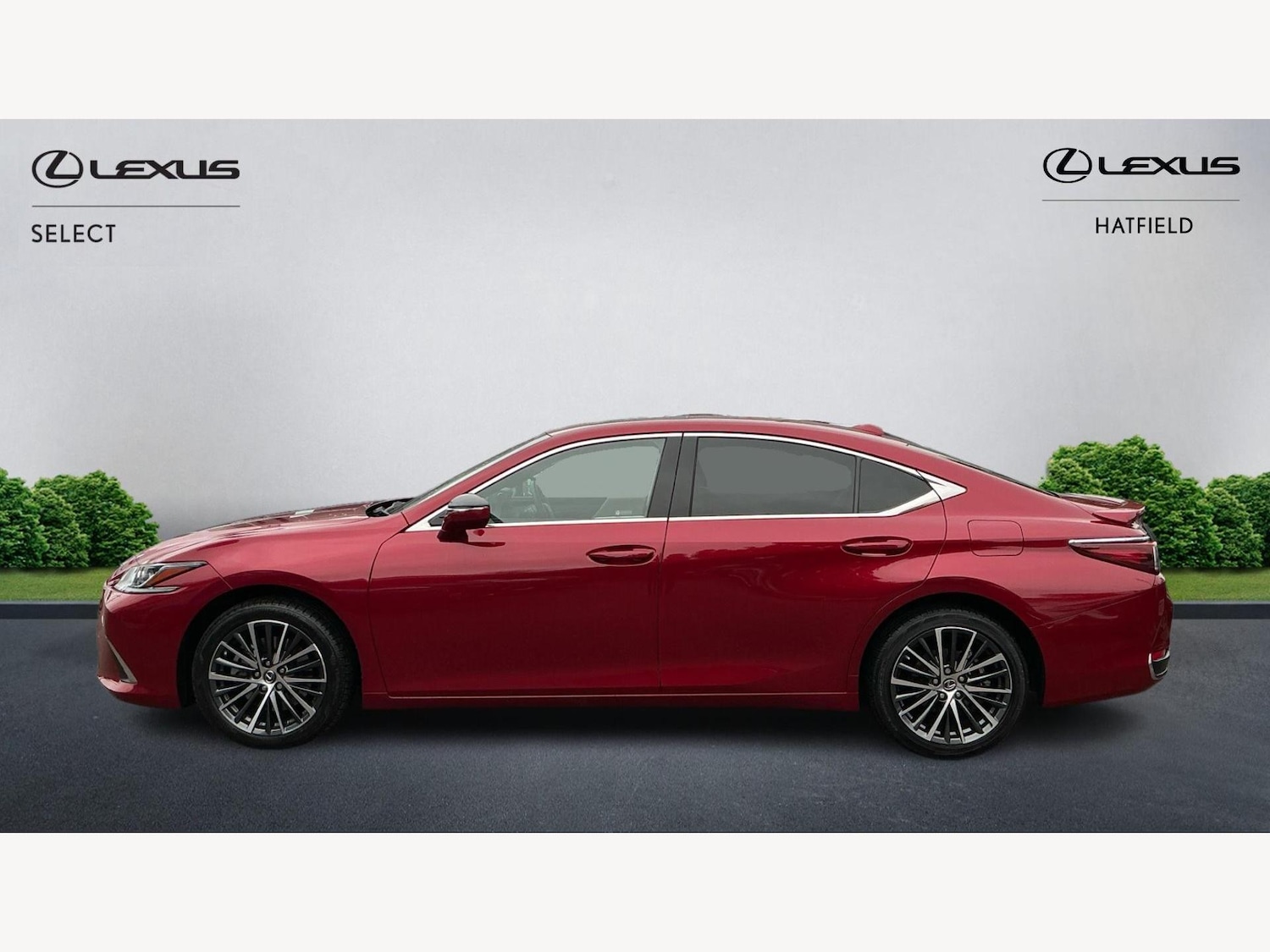 Used Lexus ES 2024 for sale - 76189776: Photo 3