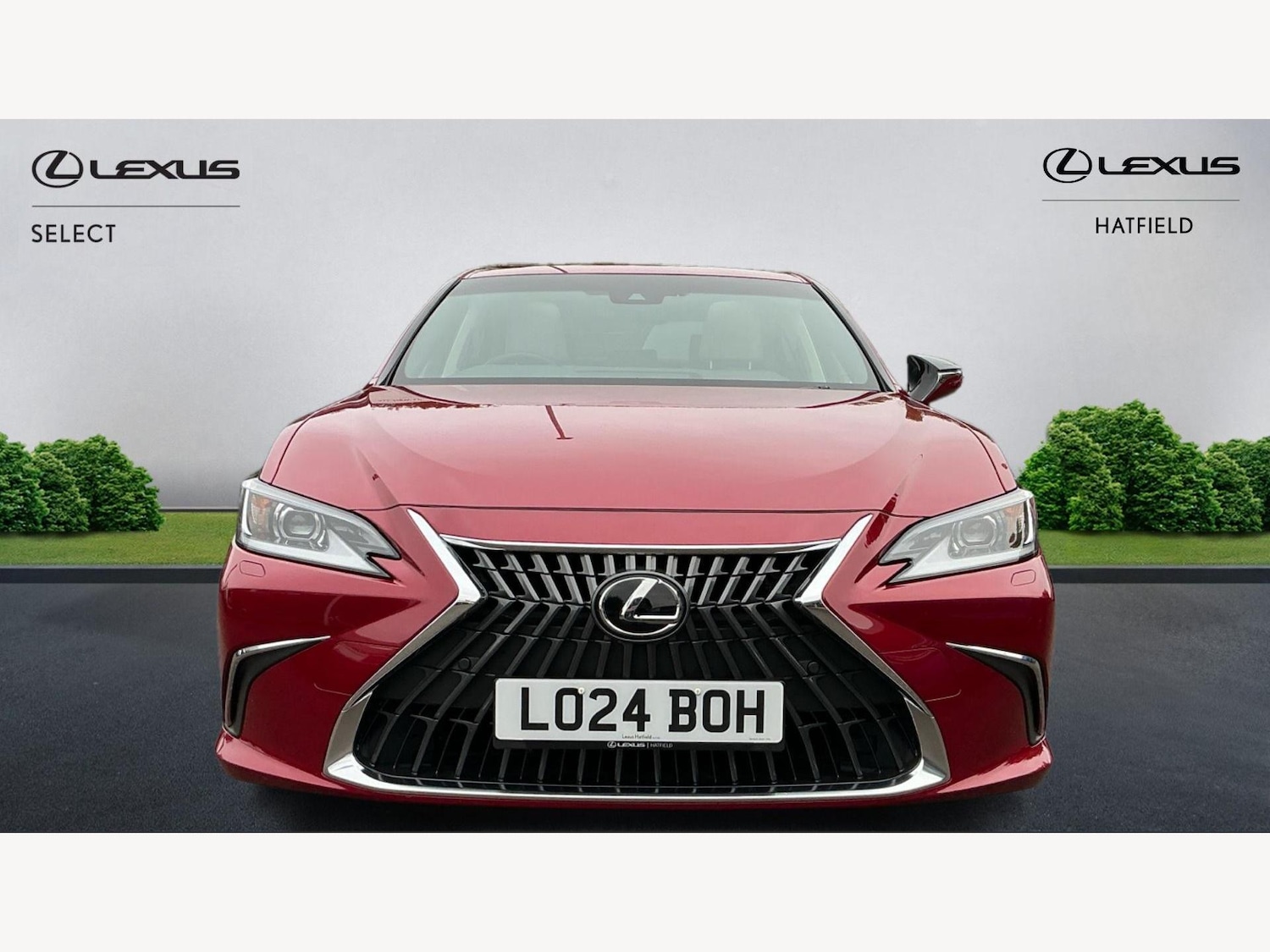 Used Lexus ES 2024 for sale - 76189776: Photo 6