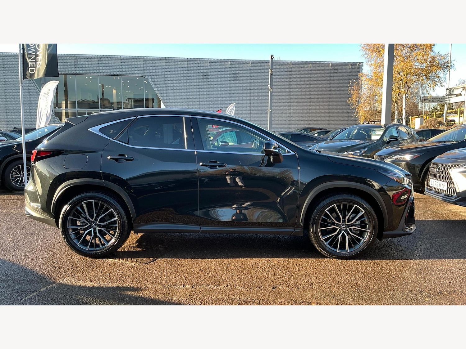 Used Lexus NX 2025 for sale - 76752561: Photo 18