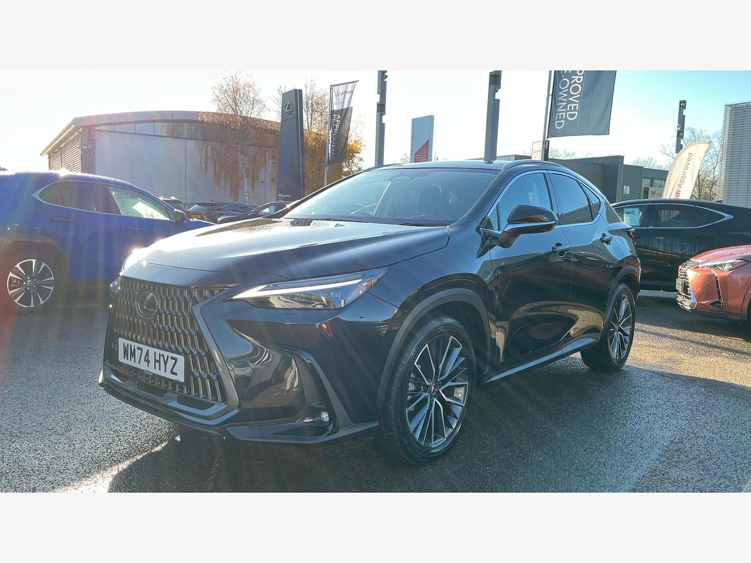 Used Lexus NX 2025 for sale - 76752561: Photo 19