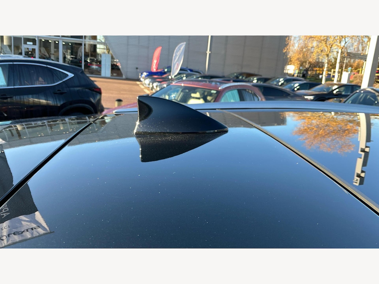 Used Lexus NX 2025 for sale - 76752561: Photo 27