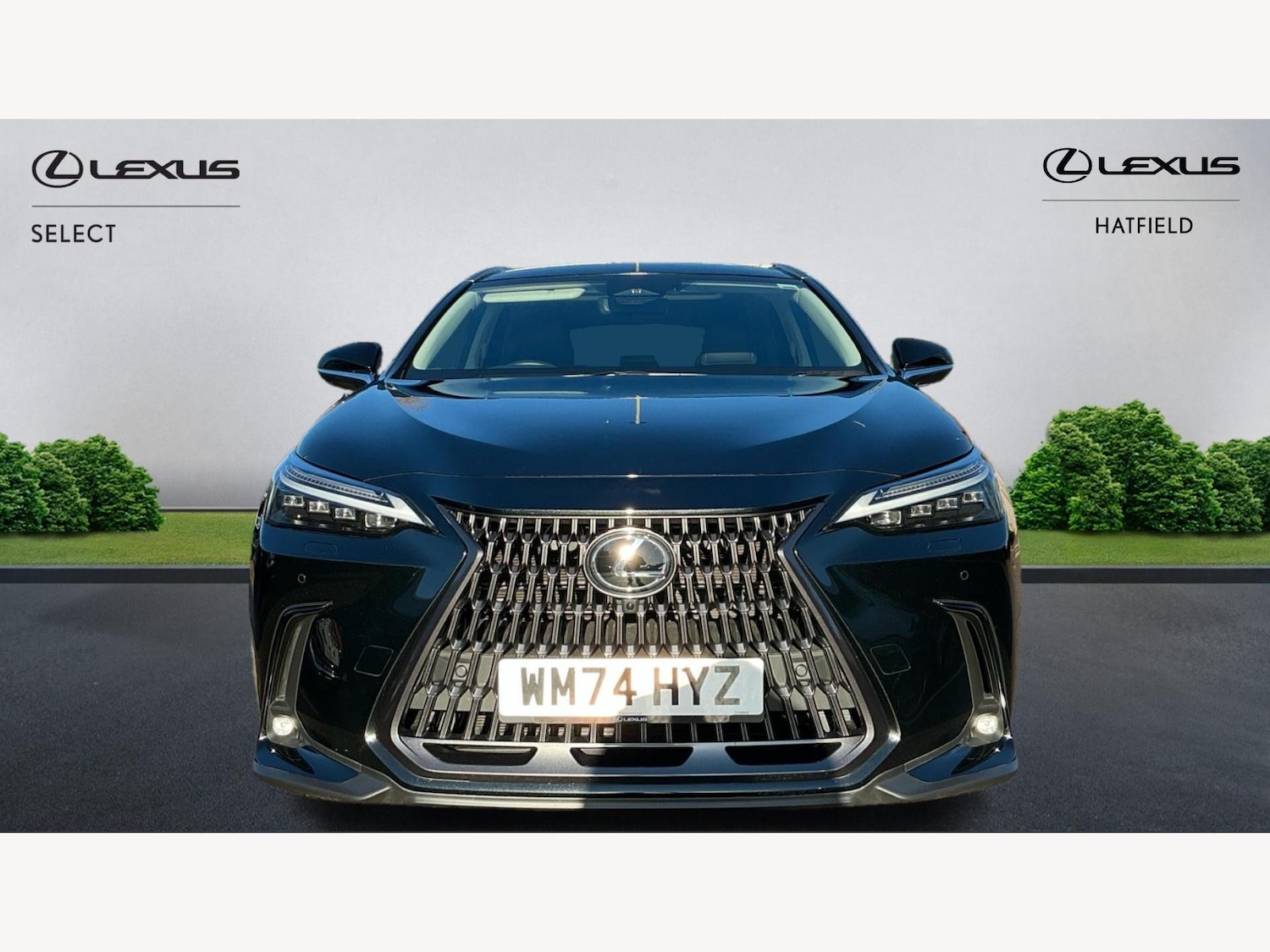 Used Lexus NX 2025 for sale - 76752561: Photo 6