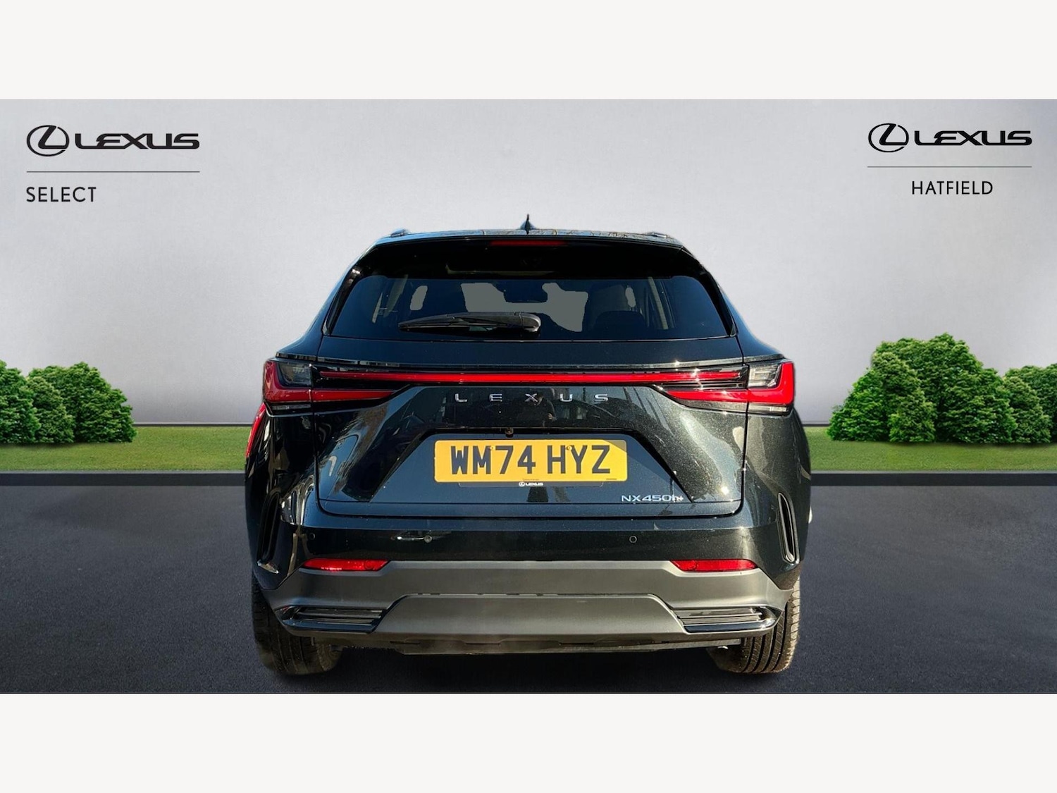 Used Lexus NX 2025 for sale - 76752561: Photo 7
