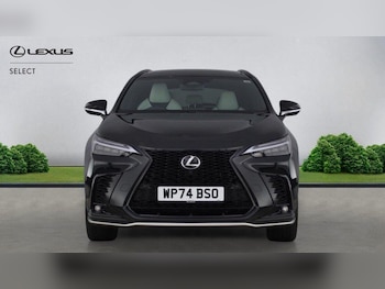 Used Lexus NX 2024 for sale - 78601775: Photo