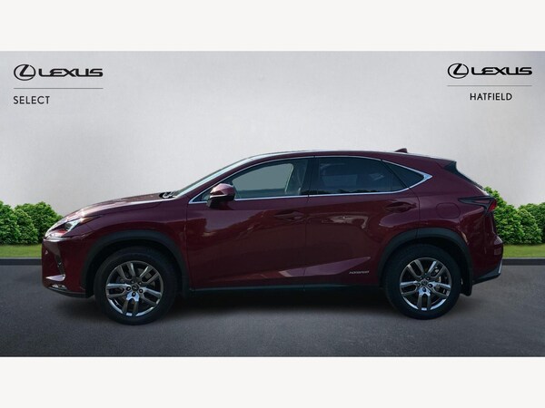 Used Lexus NX 2019 for sale - 76071929: Photo 3