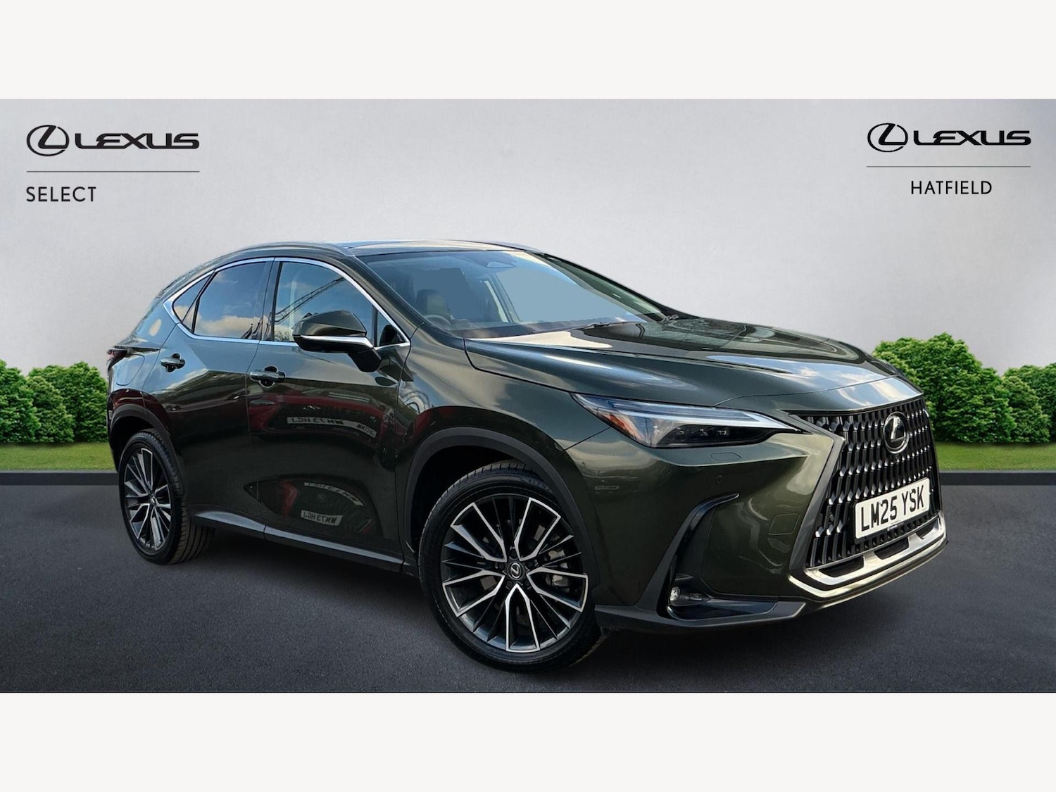 Used Lexus NX 2025 for sale - 76952597: Photo 1