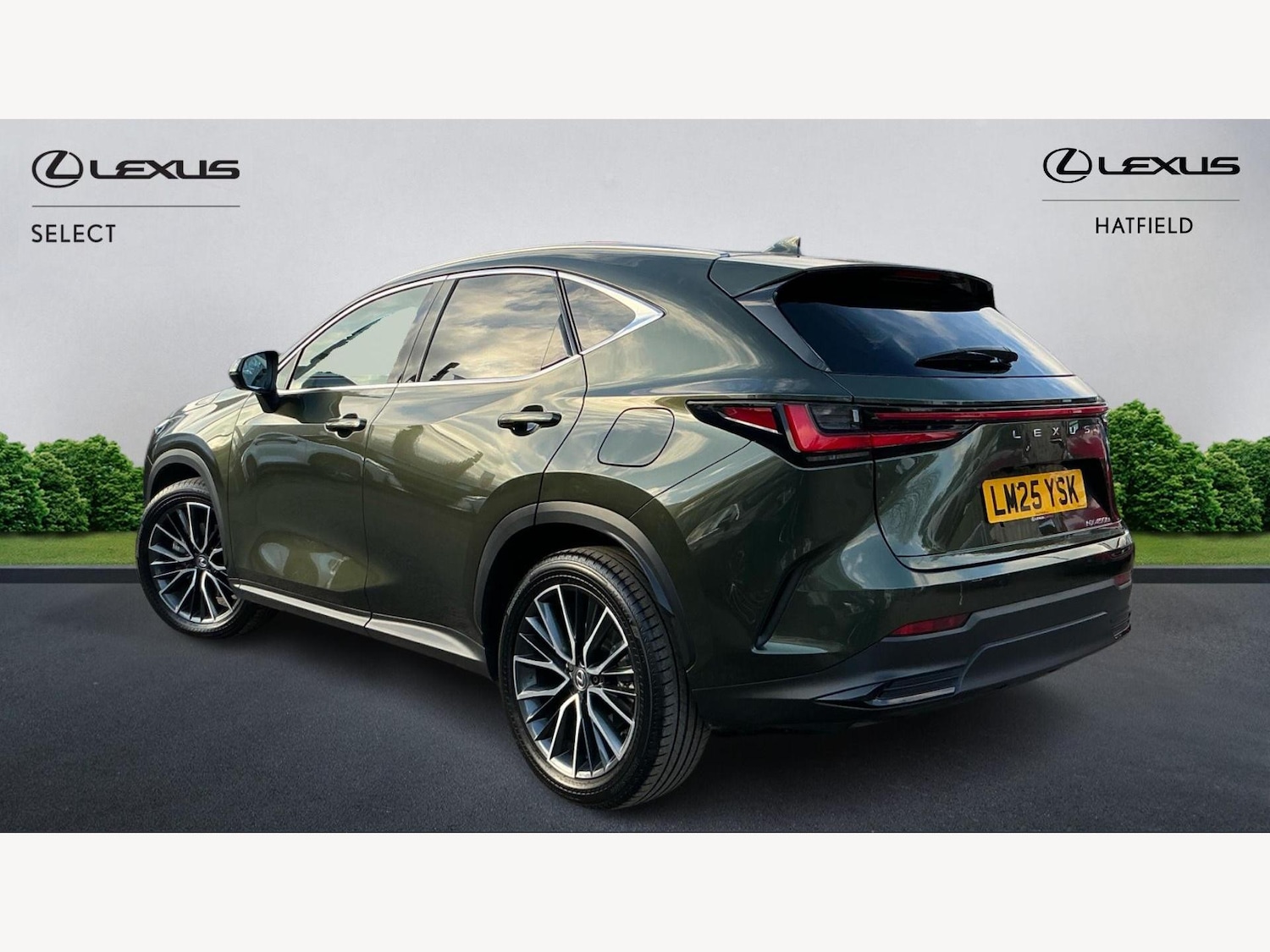 Used Lexus NX 2025 for sale - 76952597: Photo 2