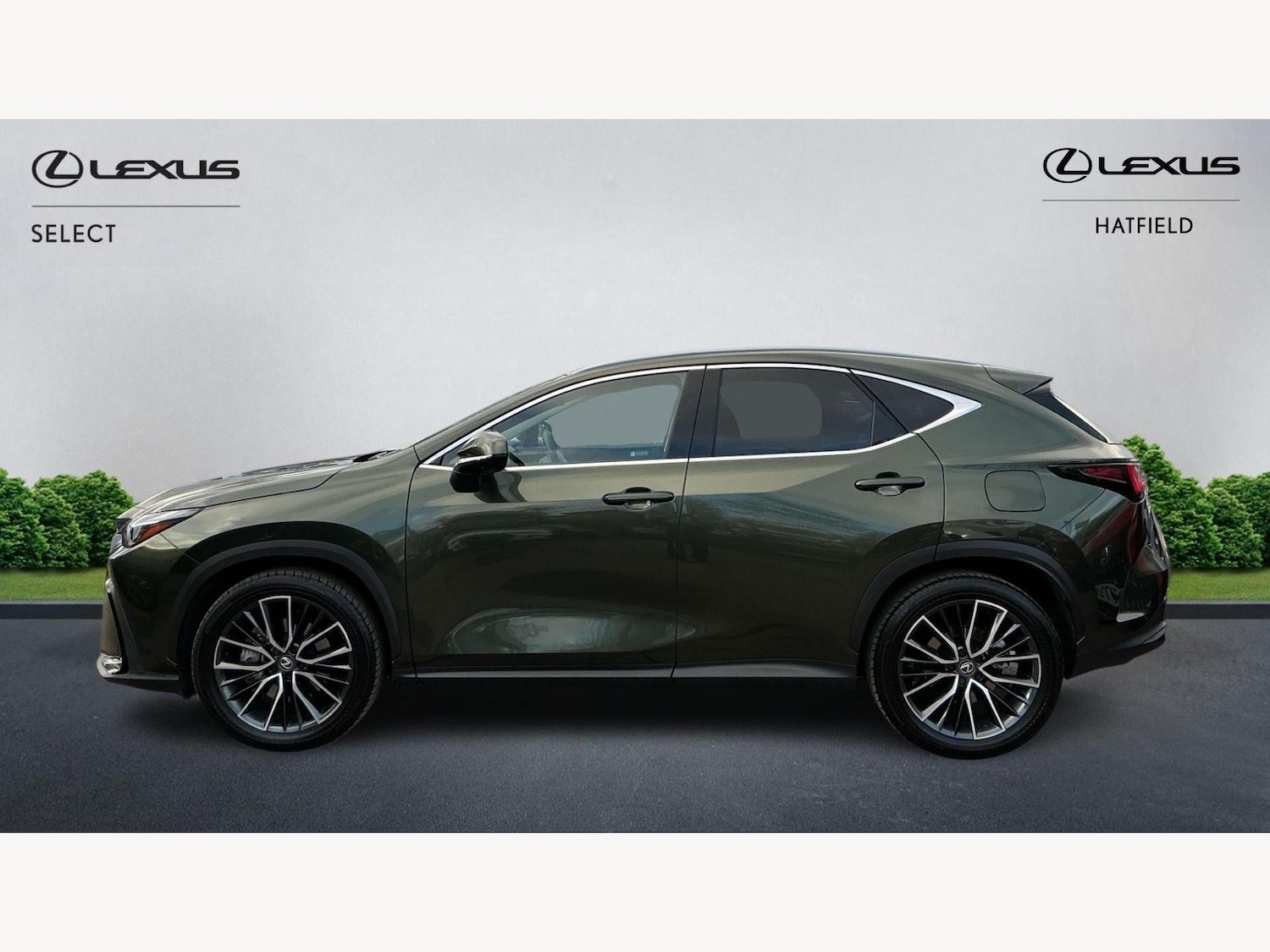 Used Lexus NX 2025 for sale - 76952597: Photo 3