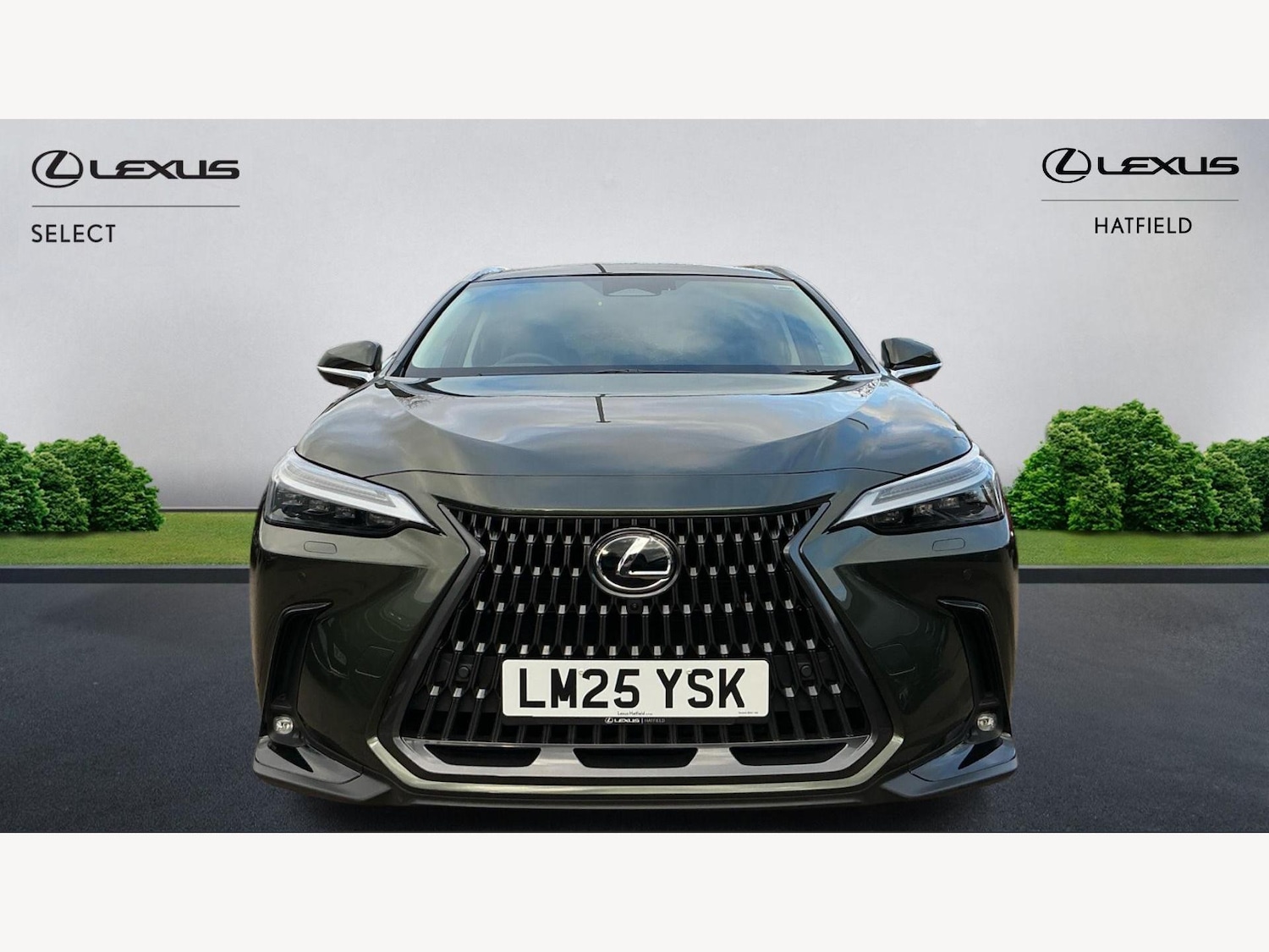 Used Lexus NX 2025 for sale - 76952597: Photo 6