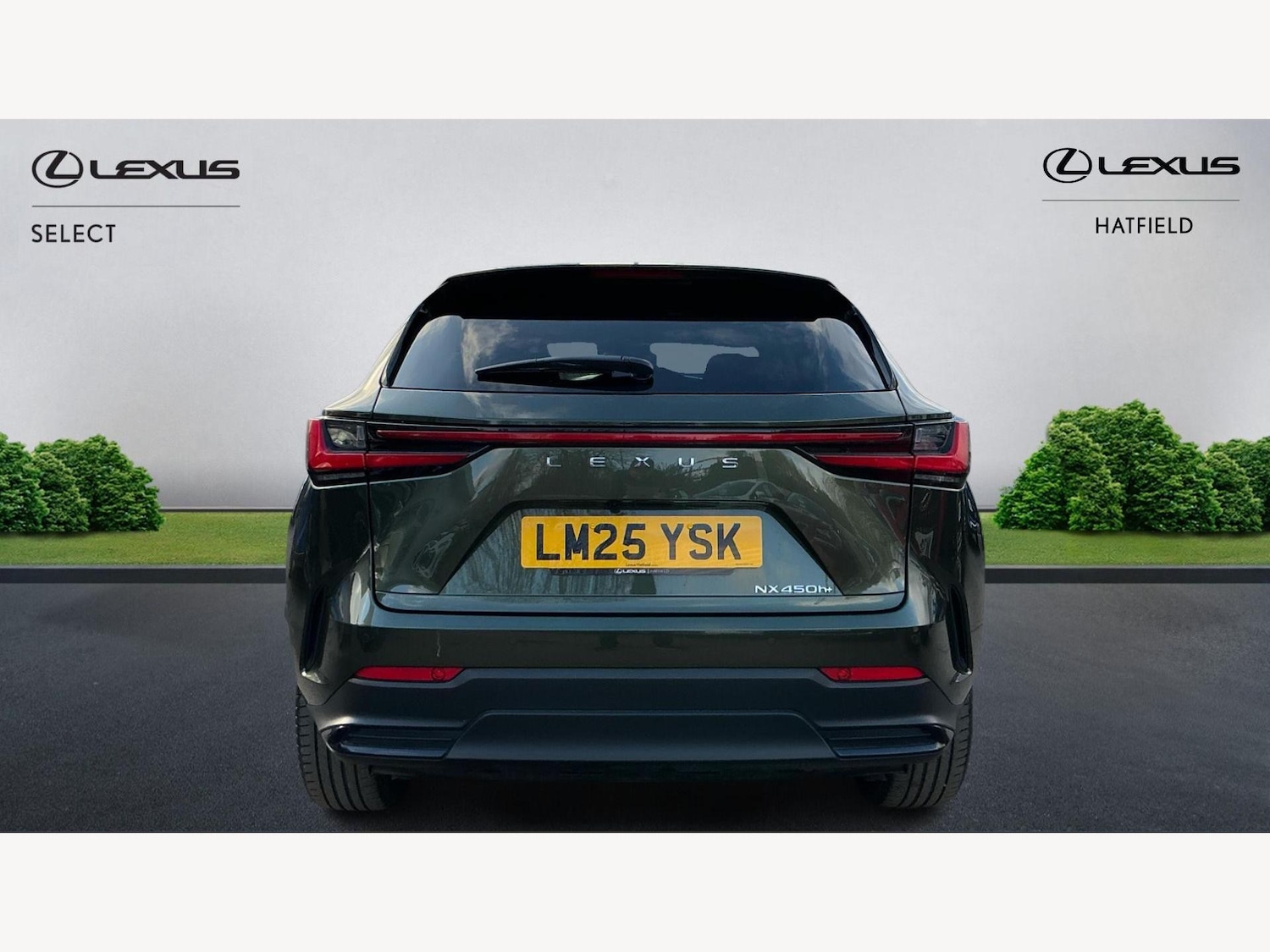 Used Lexus NX 2025 for sale - 76952597: Photo 7