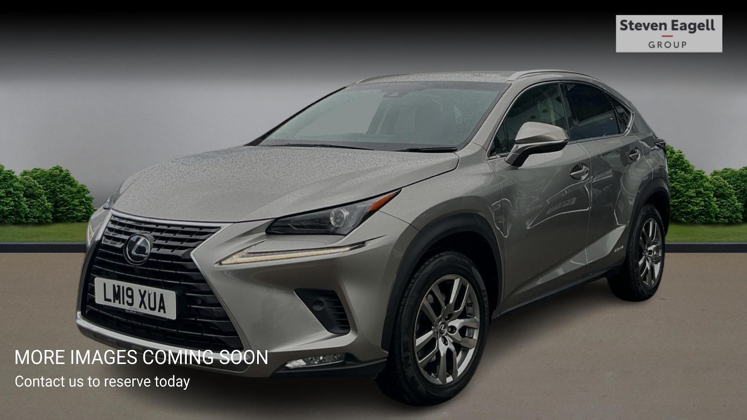 Used Lexus NX 2019 for sale - 78058870: Photo 3