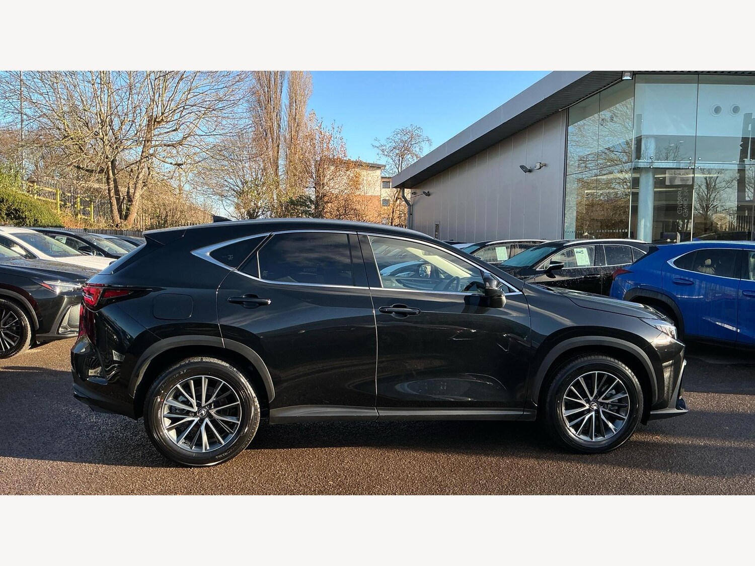 Used Lexus NX 2024 for sale - 76759560: Photo 18
