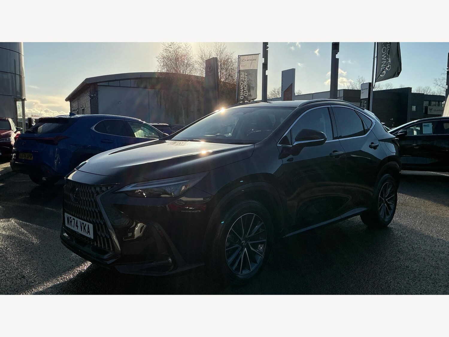 Used Lexus NX 2024 for sale - 76759560: Photo 19