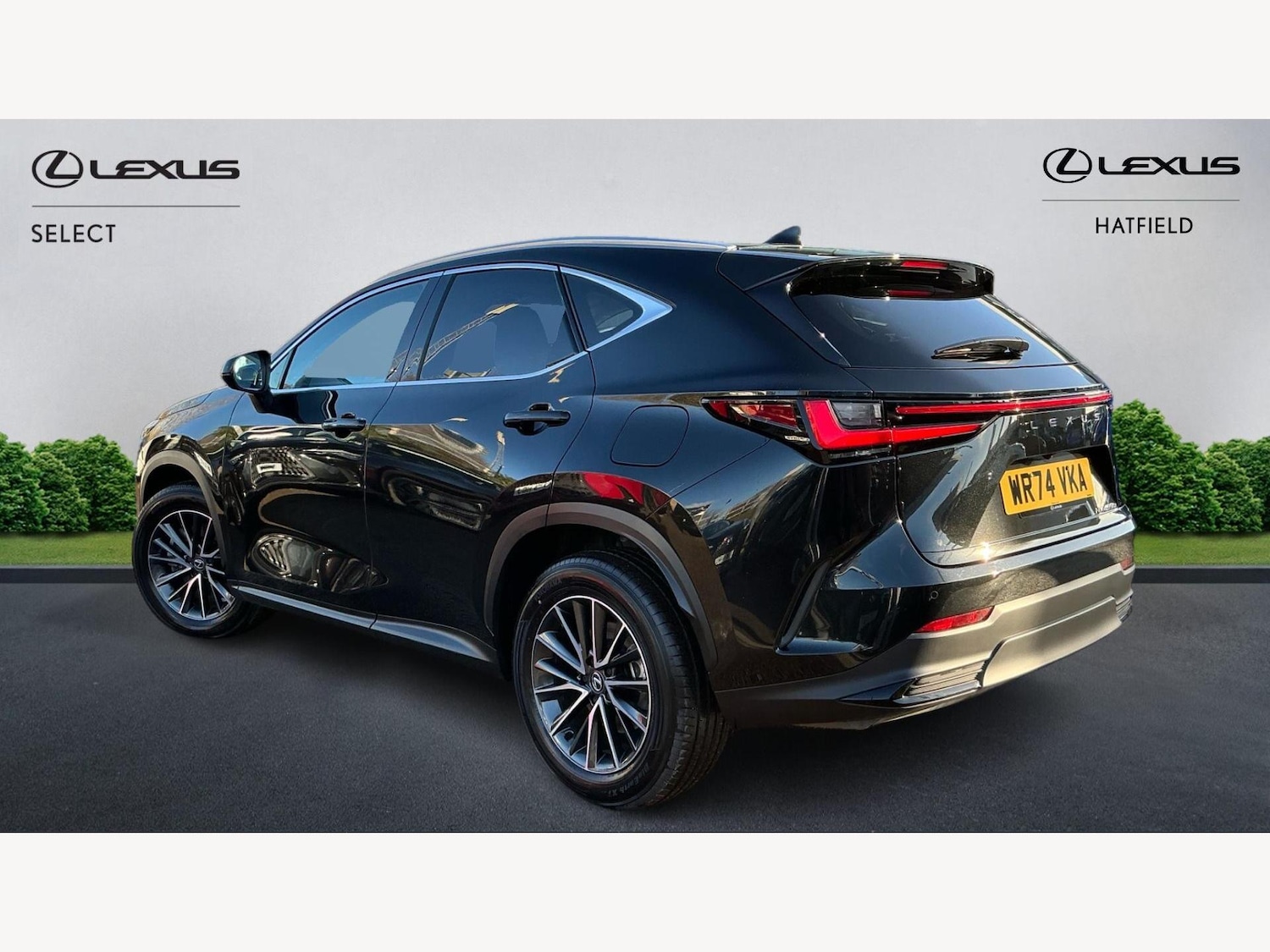 Used Lexus NX 2024 for sale - 76759560: Photo 2