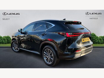 Used Lexus NX 2024 for sale - 76759560: Photo