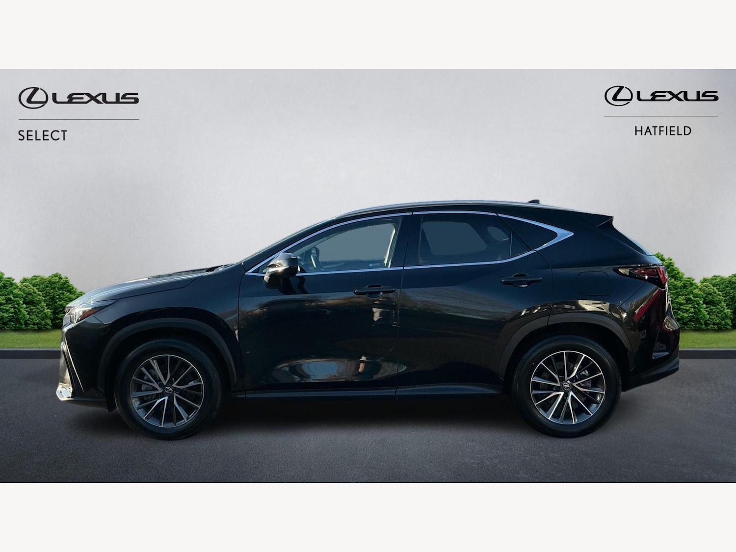 Used Lexus NX 2024 for sale - 76759560: Photo 3