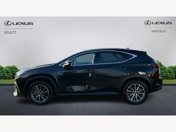 Used Lexus NX 2024 for sale - 76759560: Photo