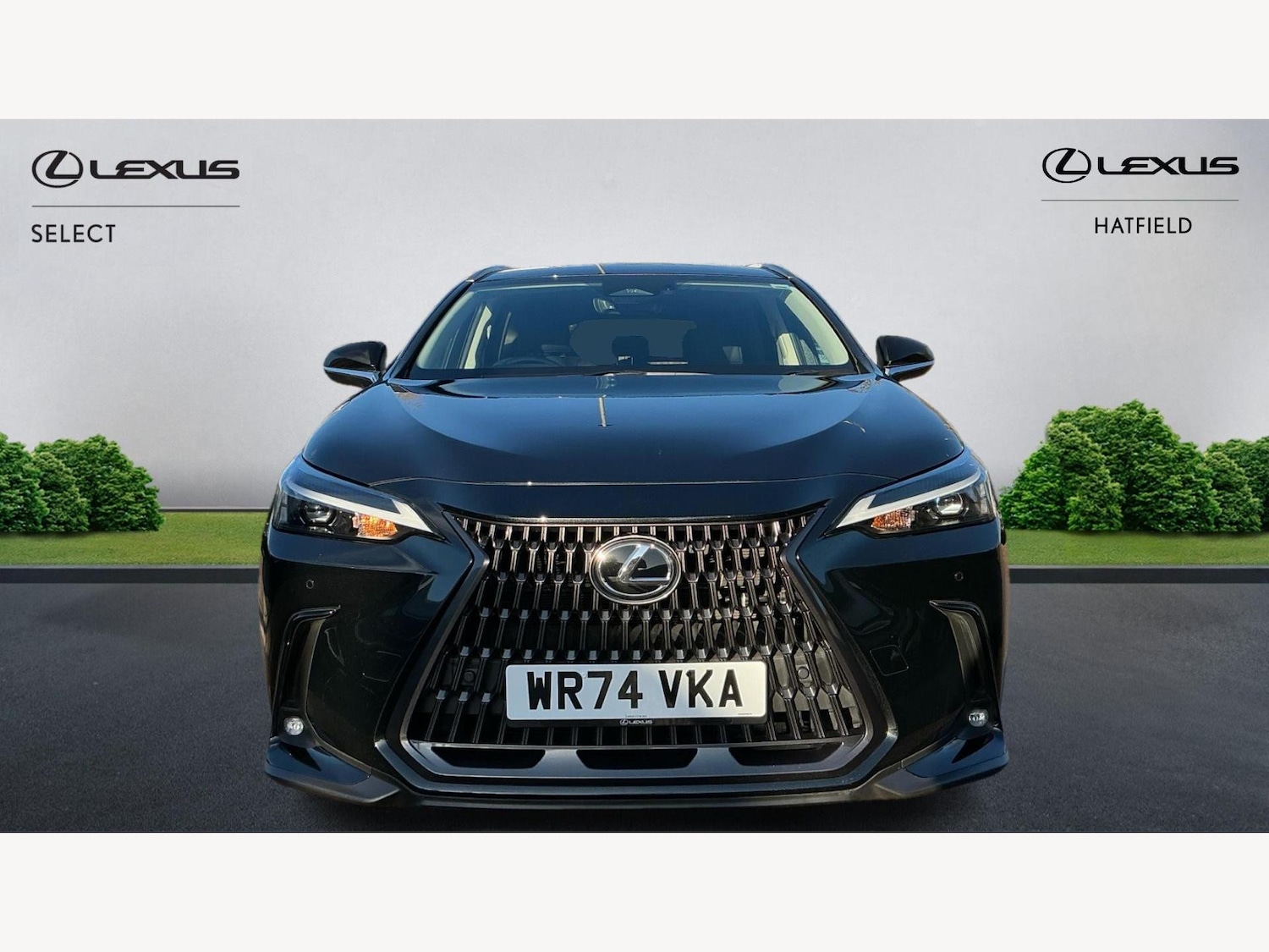 Used Lexus NX 2024 for sale - 76759560: Photo 6