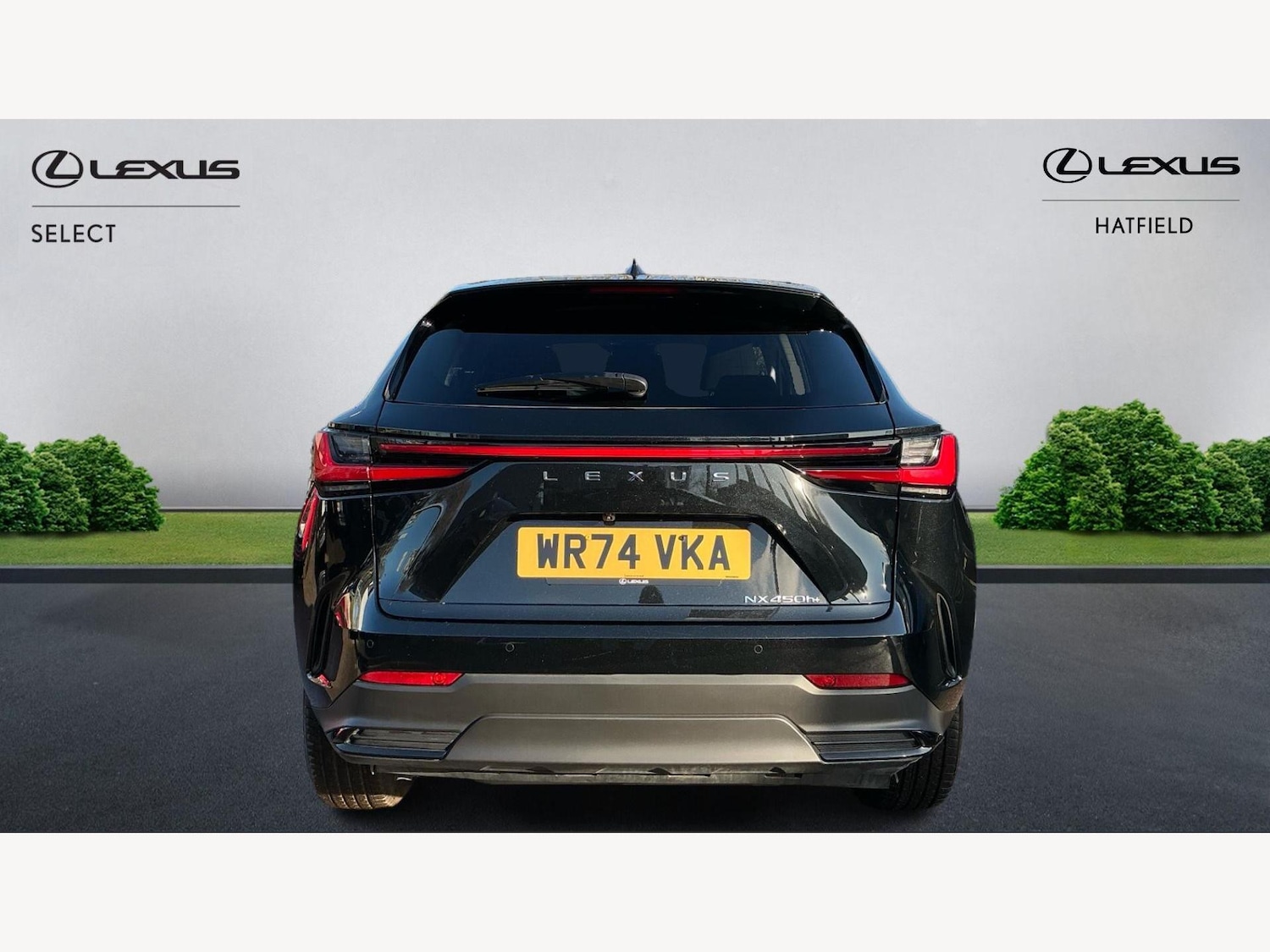 Used Lexus NX 2024 for sale - 76759560: Photo 7
